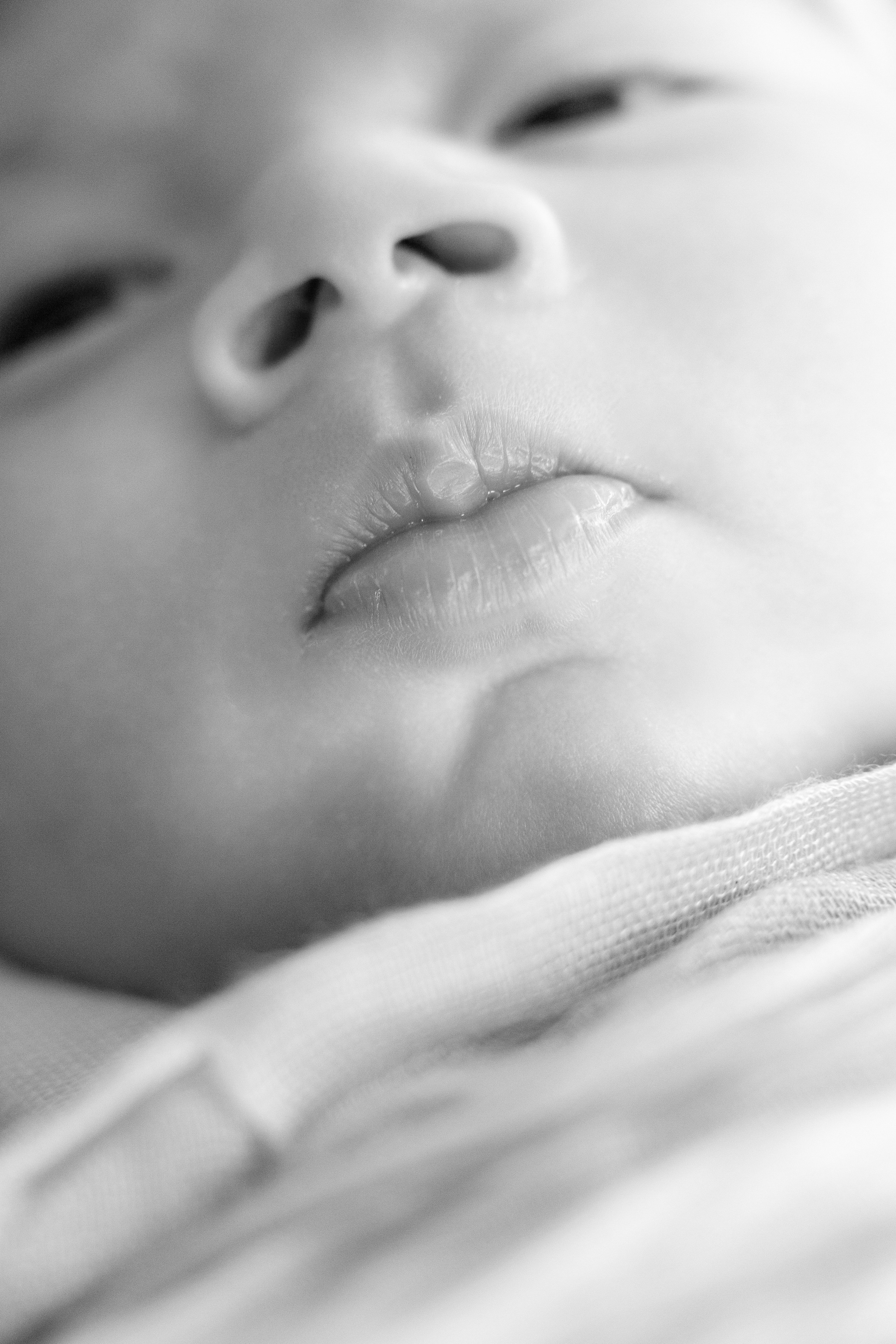 Services. Marina Pravda Photography San Francisco Bay Area