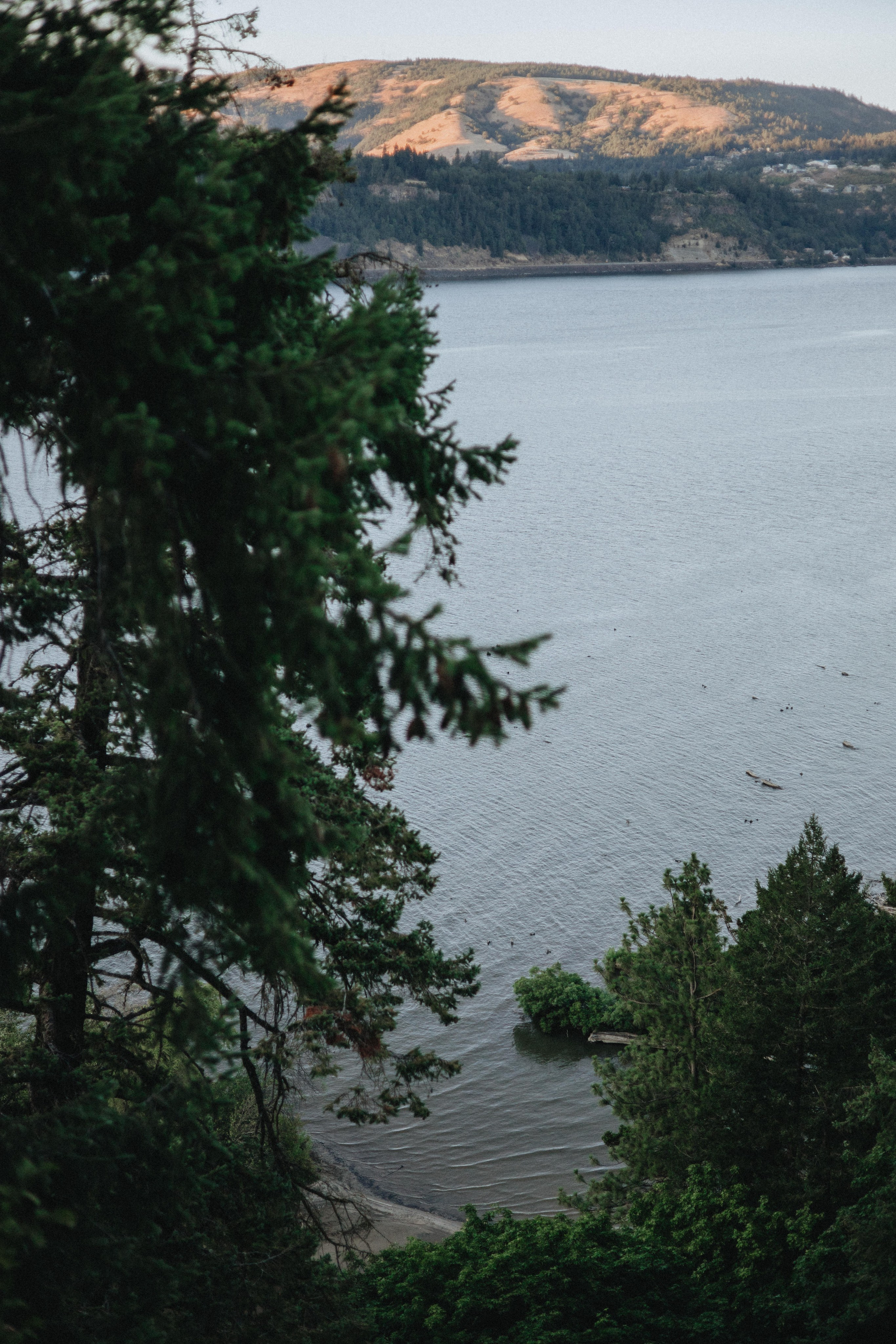 Brook & Richard's Wedding in Portland Oregon| Captured by Georgy Shishkin, Professional Wedding Photographer Seattle, Bend & Oregon Coast. Capturing Love in the Heart of the Pacific Northwes