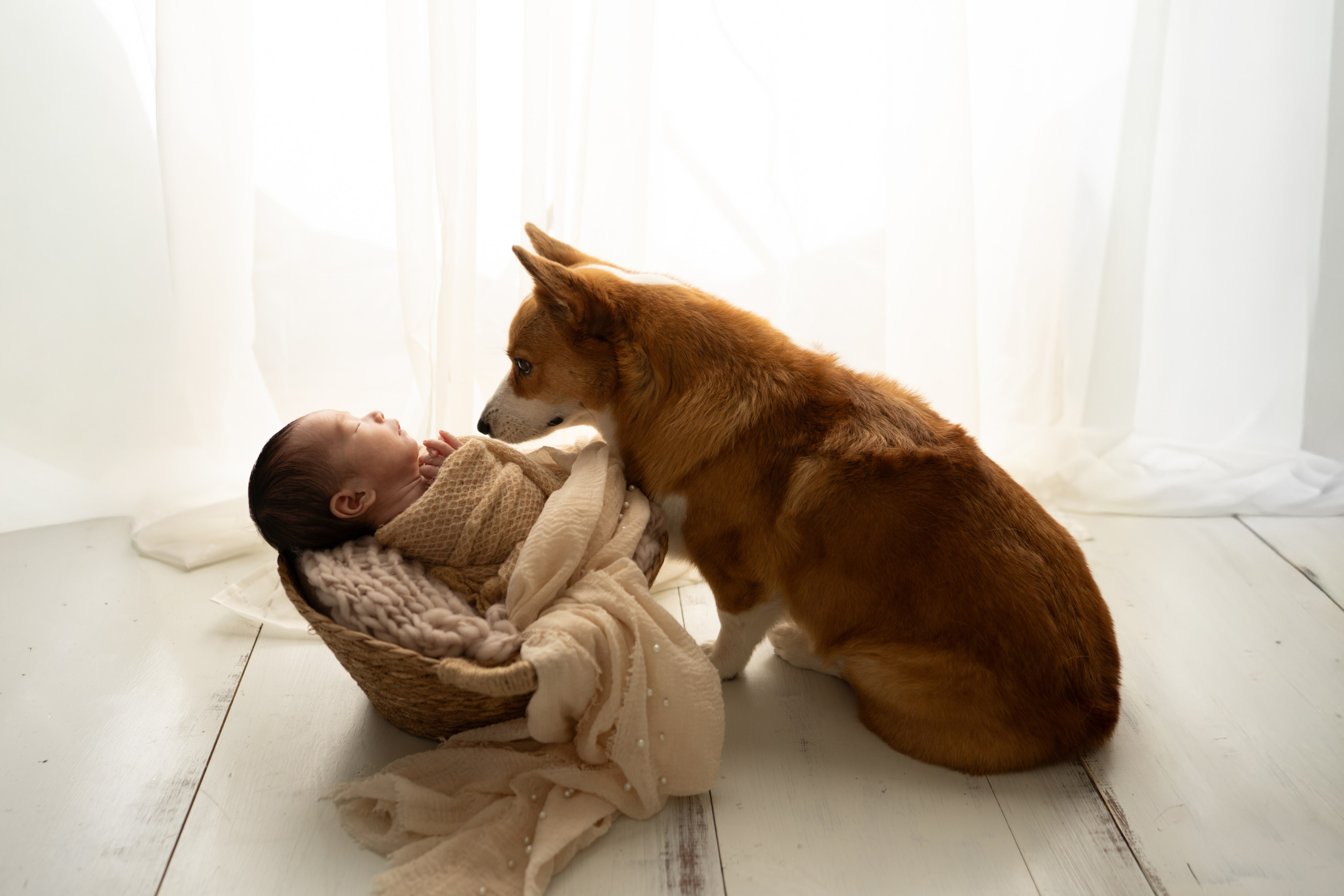 Newborn+Family. Maternity, family and newborn photography in San Francisco Bay Area