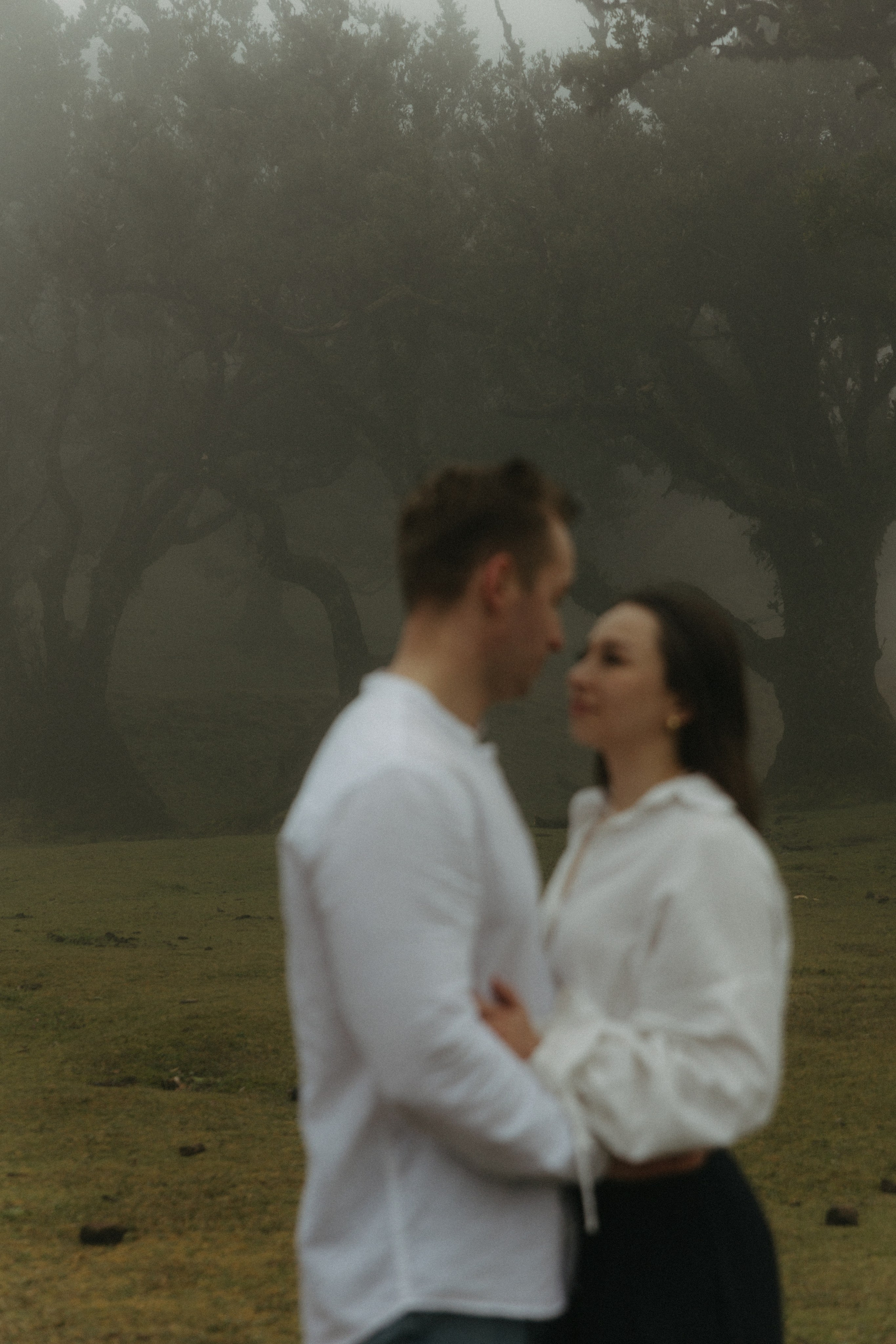 Magic of Fanal Forest. Wedding photographer and videographer based in Timisoara, Romania