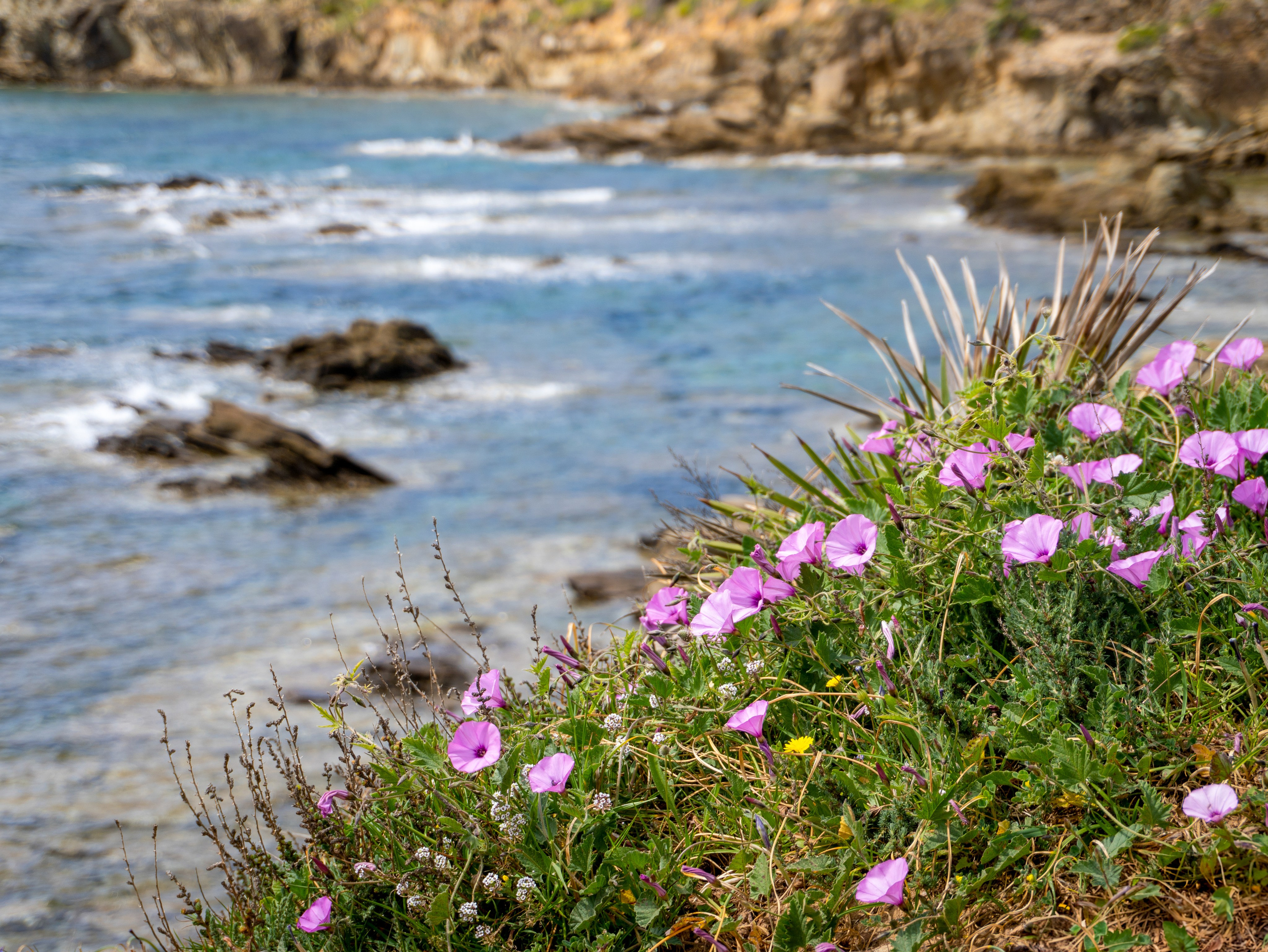 Paesaggi. Olga Manukhina fotografo in Sardegna