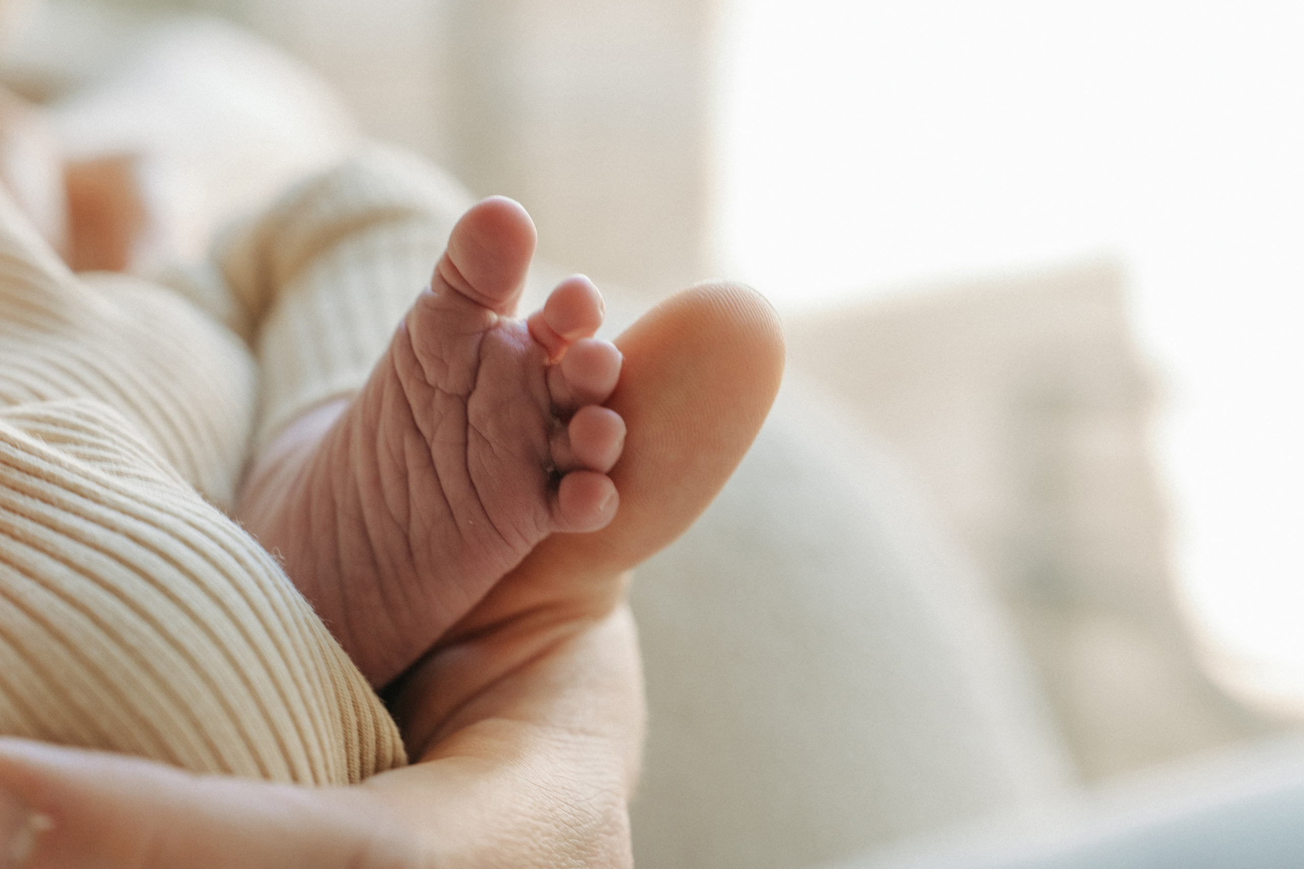 JoLynn, Justen and Codi. Alisa Tant — Family and newborn photographer Bucks County, Montgomery county, Philadelphia, NJ