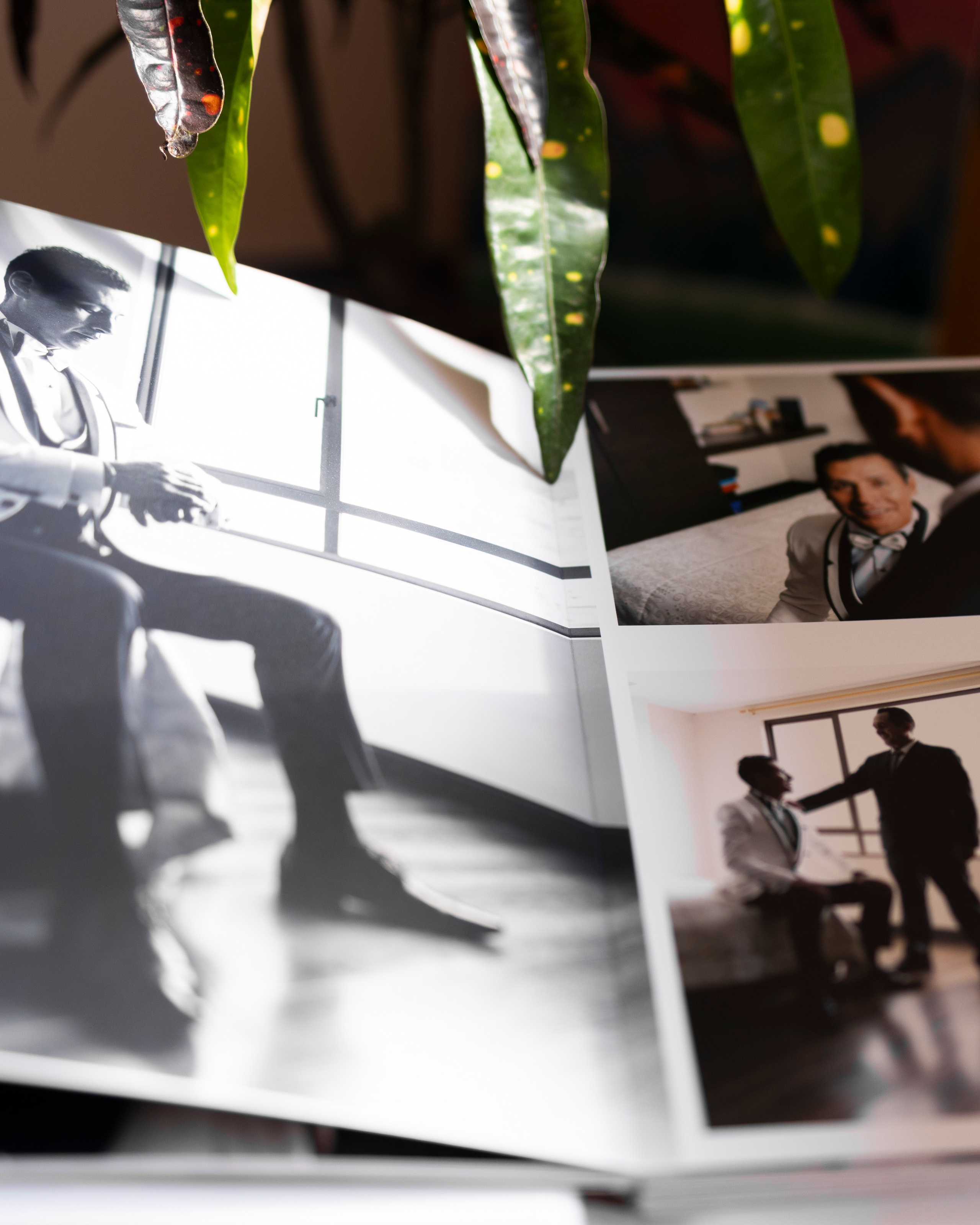 Fotografía y Video para bodas en la ciudad de Cuenca, Ecuador. Fotografía y video para bodas y Familiares en Cuenca - Ecuador, Alex Coello