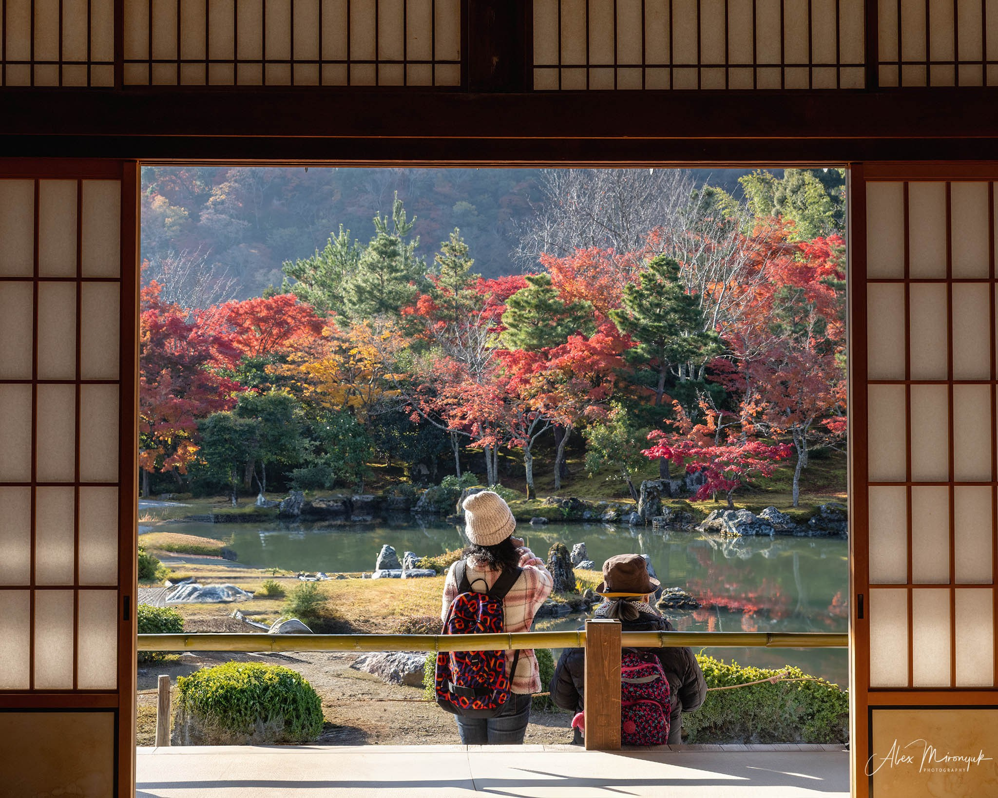 Autumn Colors of Japan. Pet, Senior, Landscape, portrait studio, photographer in Miami and Sou