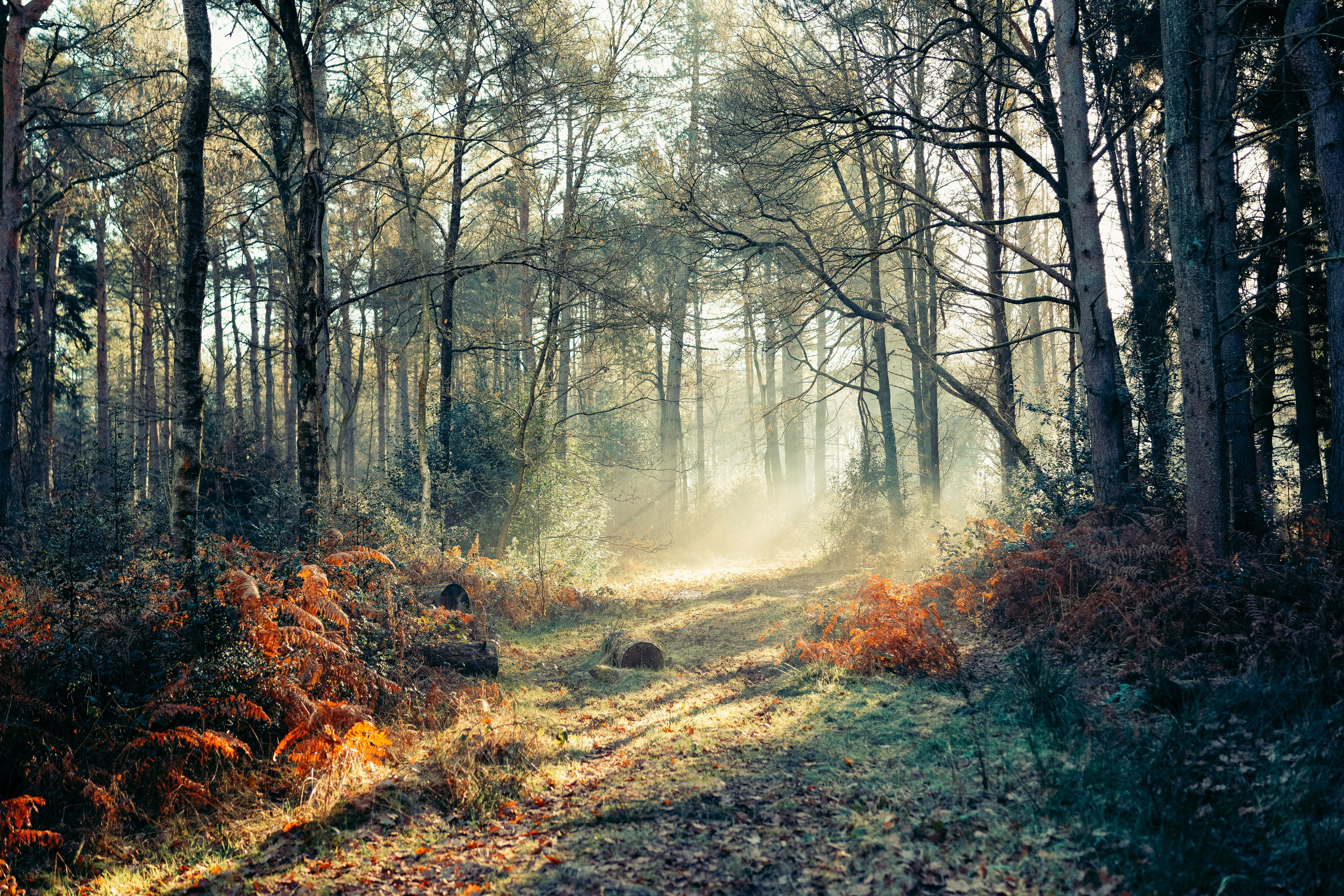 Jo-Vin. Irina Zoteeva — Portrait, Brand & Family Photographer in Solihull