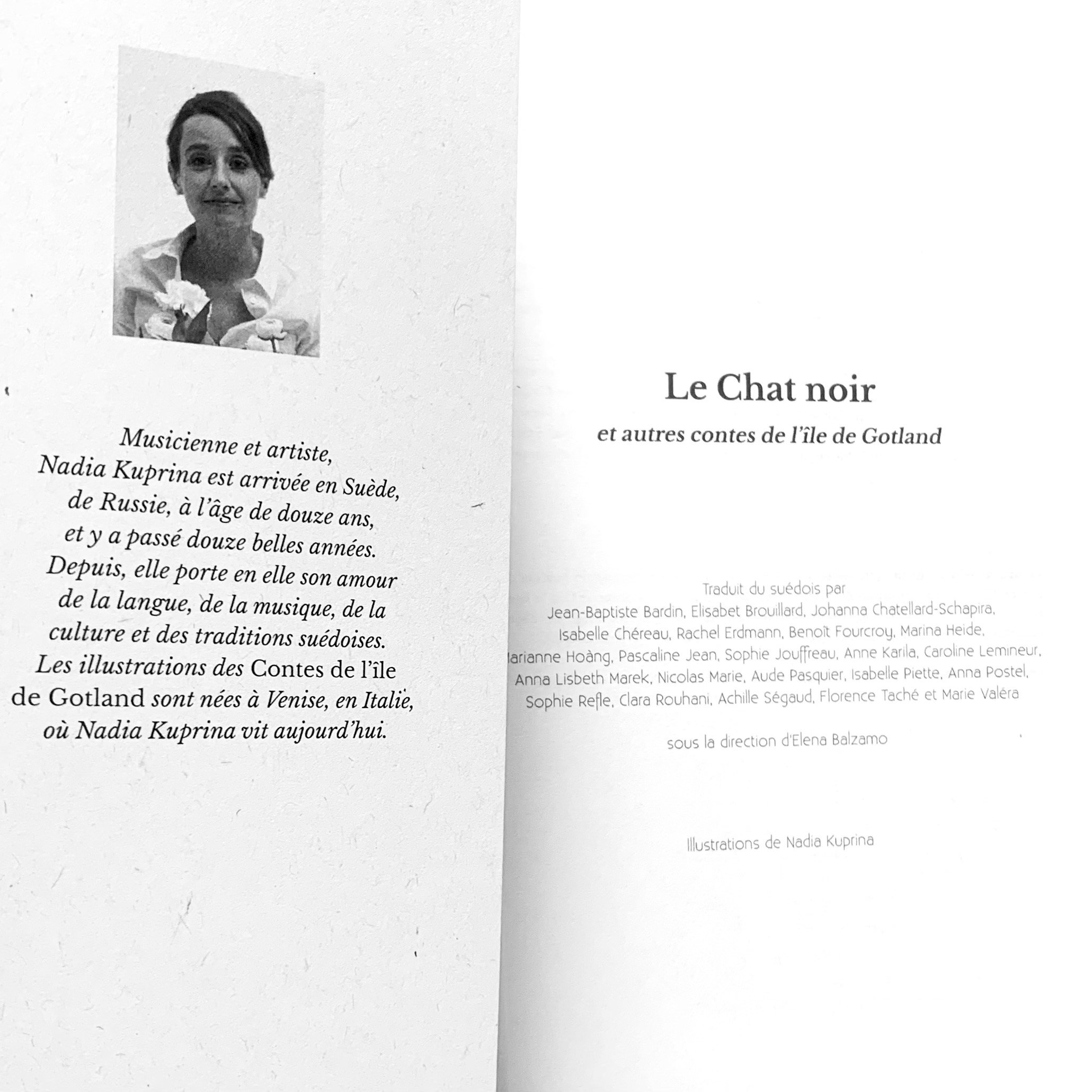 Illustrations. Nadia Kuprina. Artist