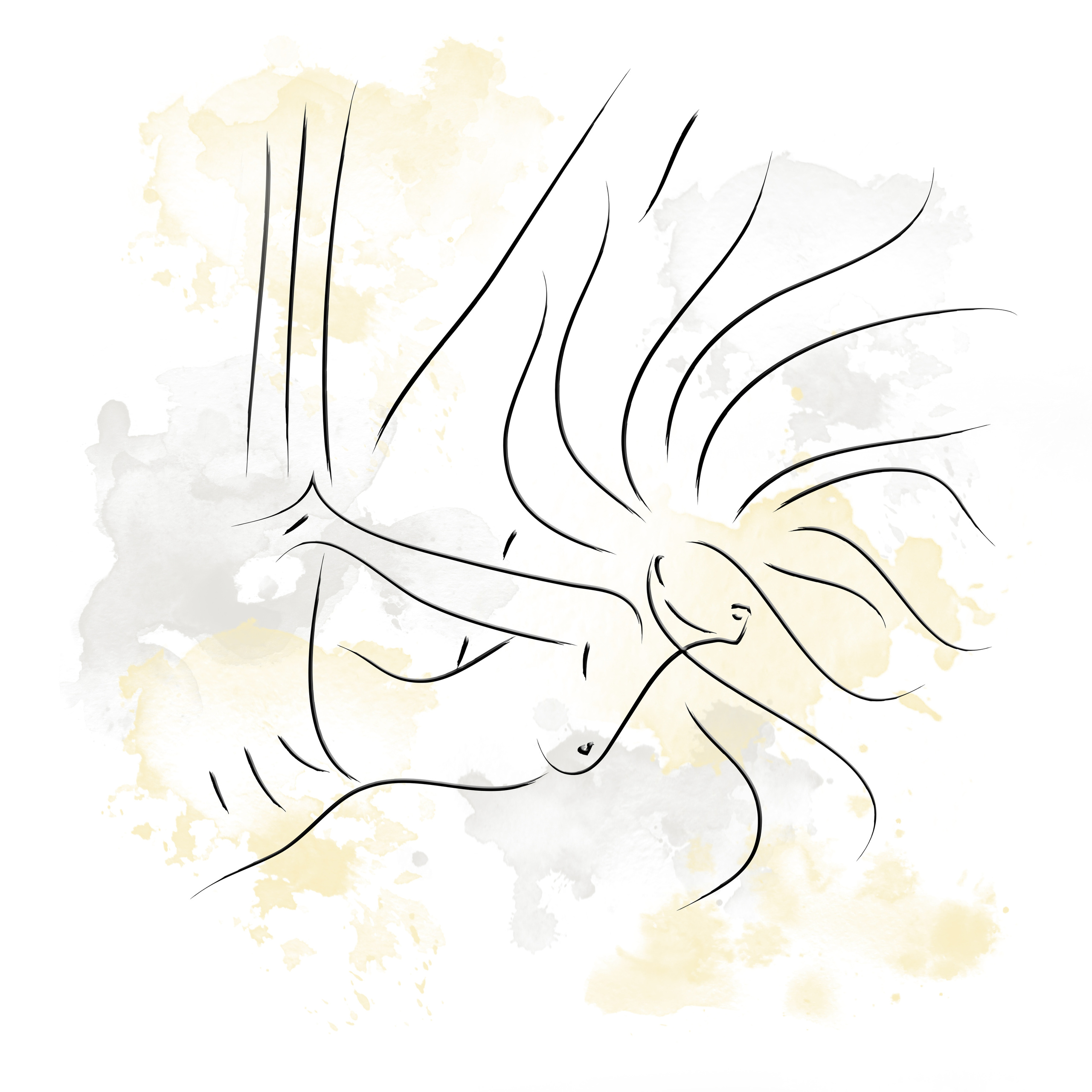 ART line. Lolly Shine. Contemporary digital artist