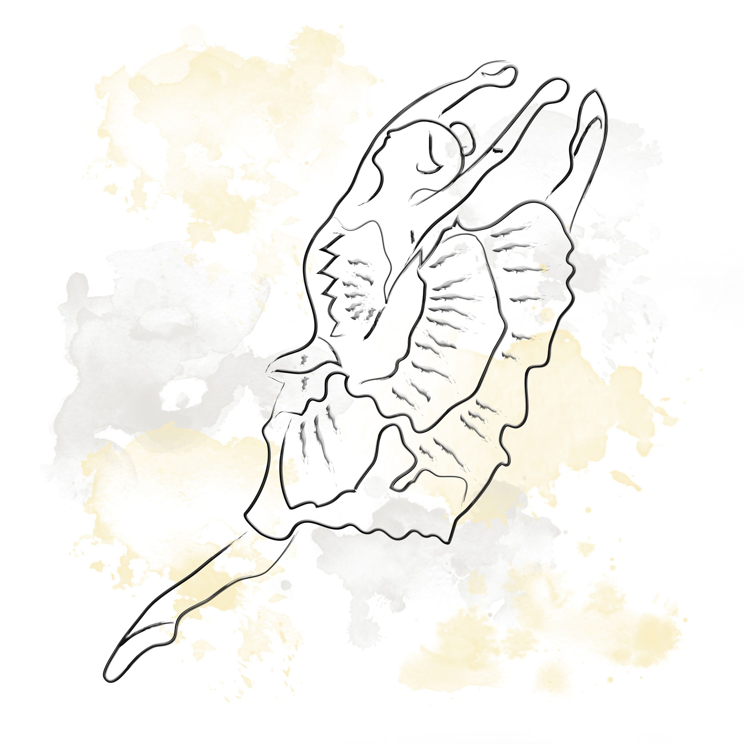 ART line. Lolly Shine. Contemporary digital artist