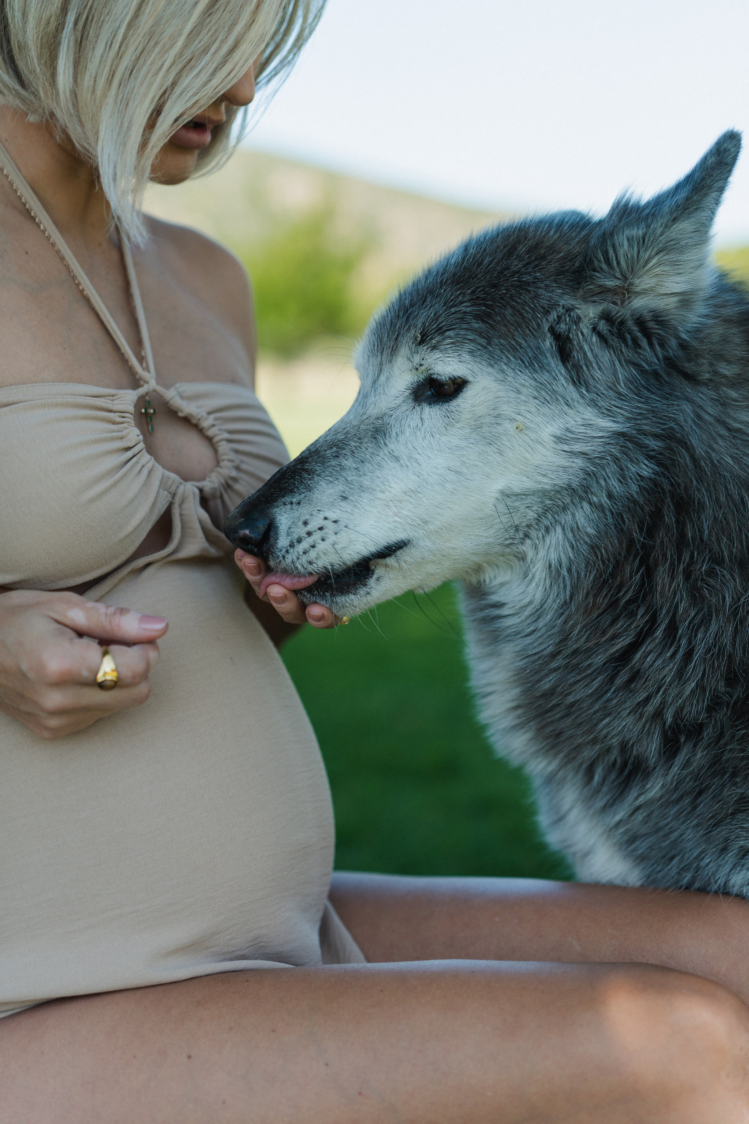 Wild Grace. Pregnancy shoot with Wolf. Portrait, family, maternity & wedding photography & videography in SoCal Kseni Vibe