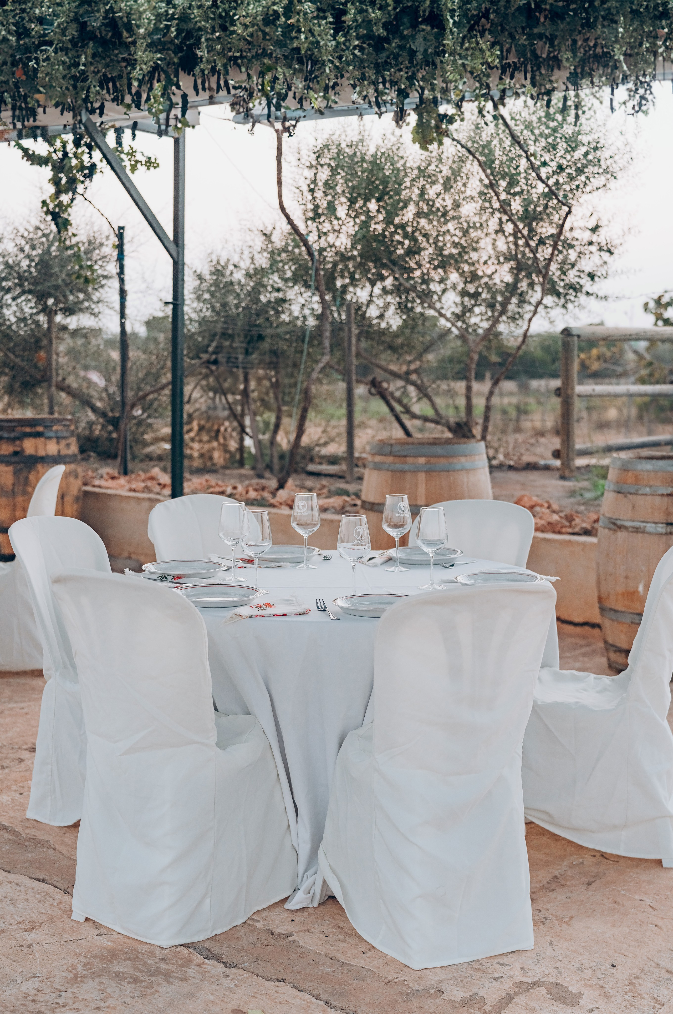 Bodega. Photographer in Mallorca