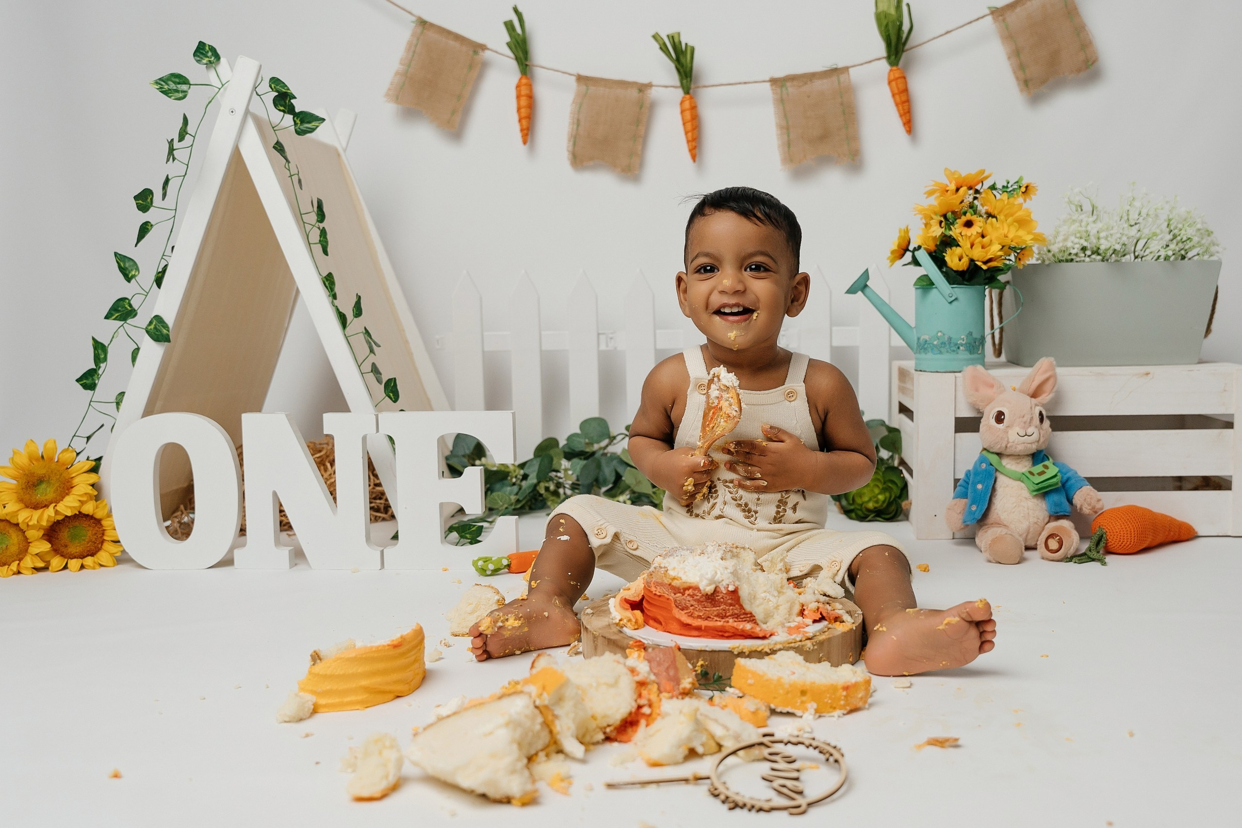 Peter rabbit cake smash session. Newborn and family photographer. Hills District. Sydney