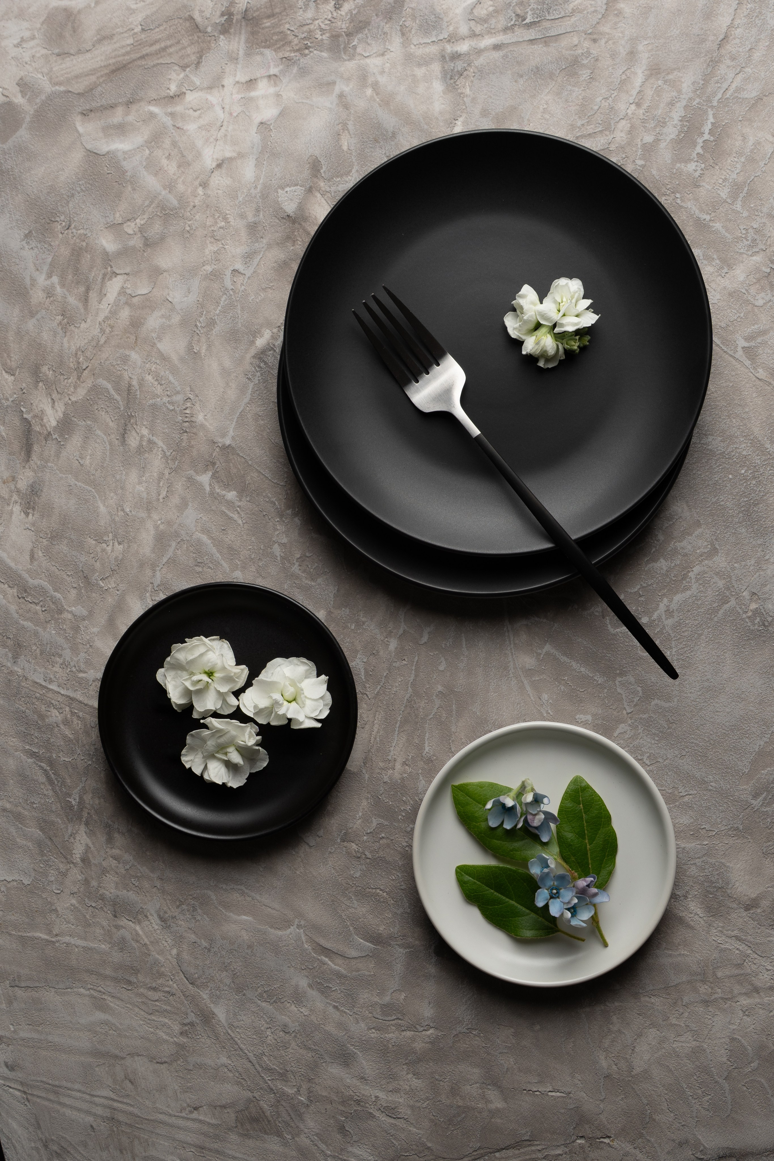 FoodPhoto Margo Mitsoul