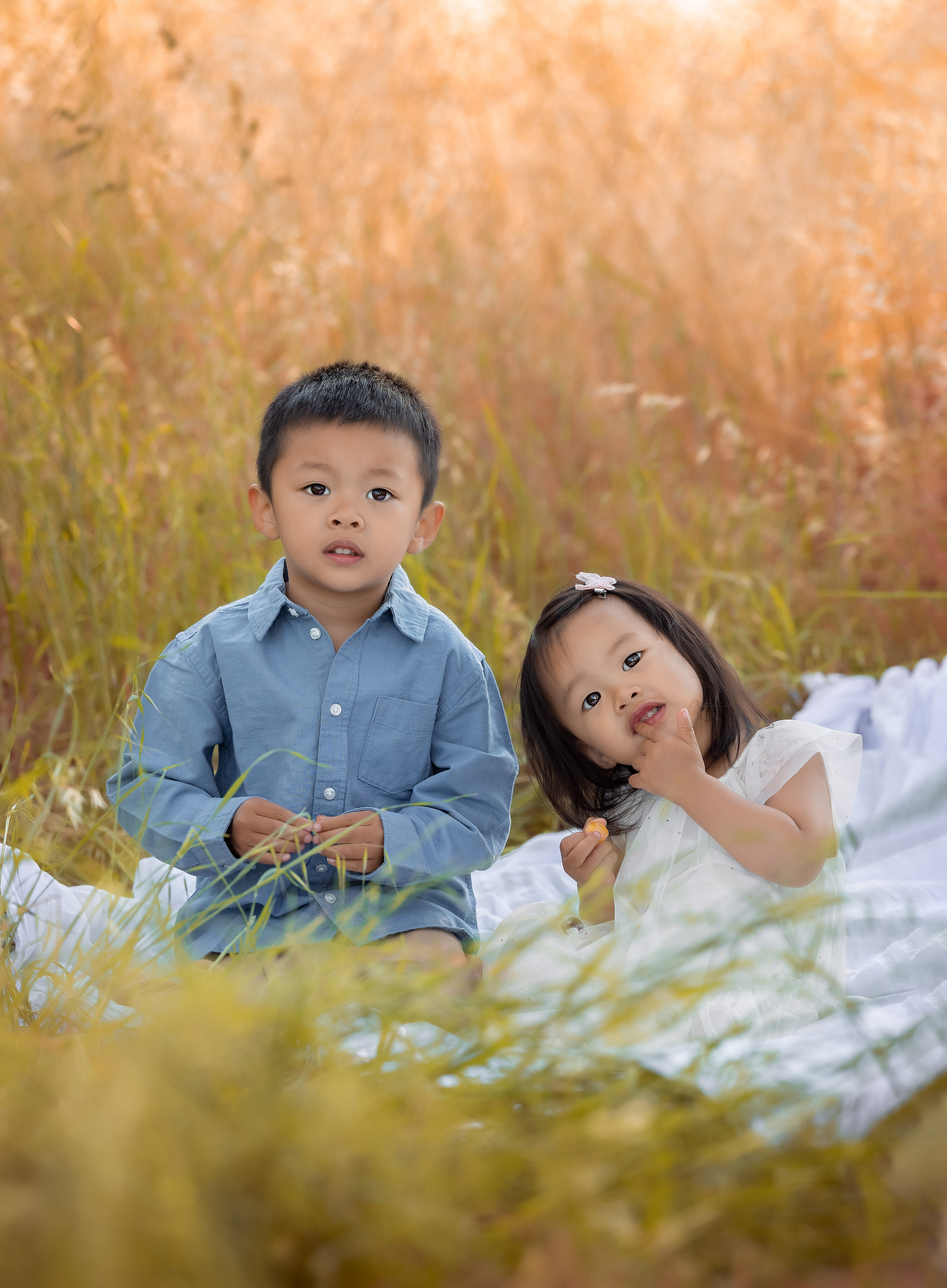 Family photoshoot in Sunnyvale, San Francisco Bay Area, CA. Couples & Families photographer in Bay Area, San Jose, California