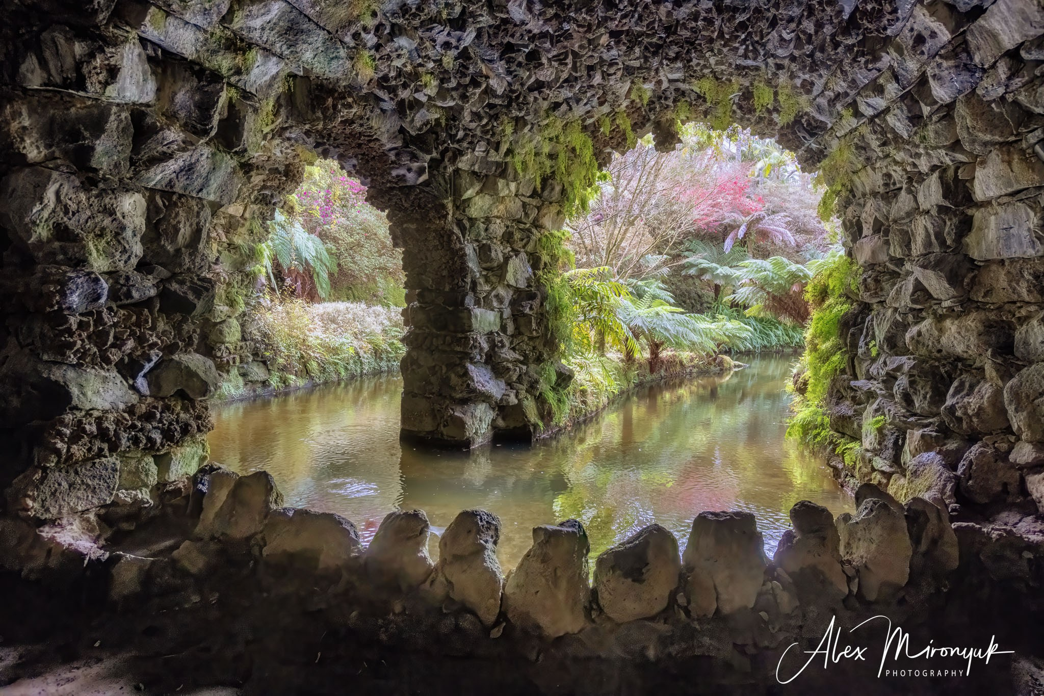 Azores And Madeira. Alex Mironyuk Photography