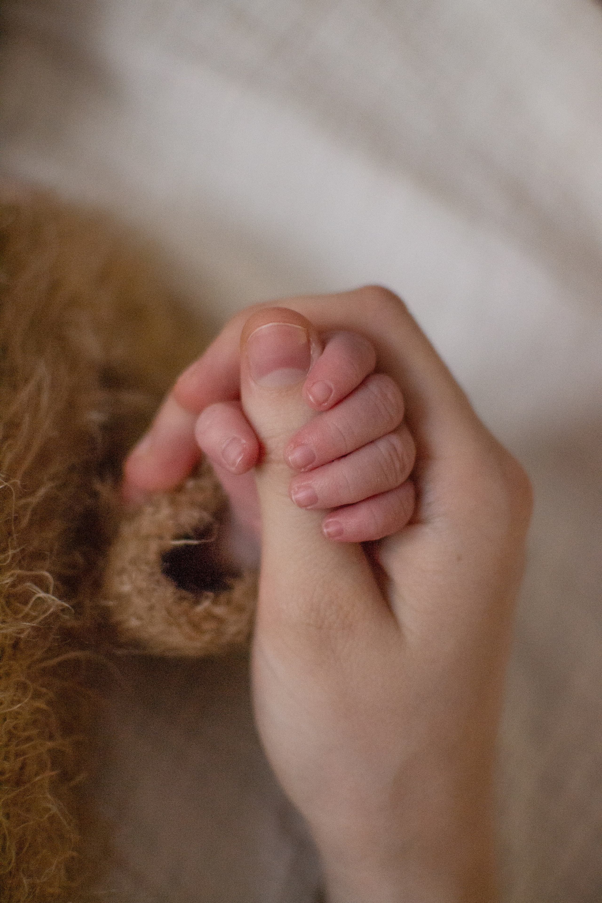 Авенир. Фотограф новорожденных в Темиртау и Караганде Любовь Жукова newborn