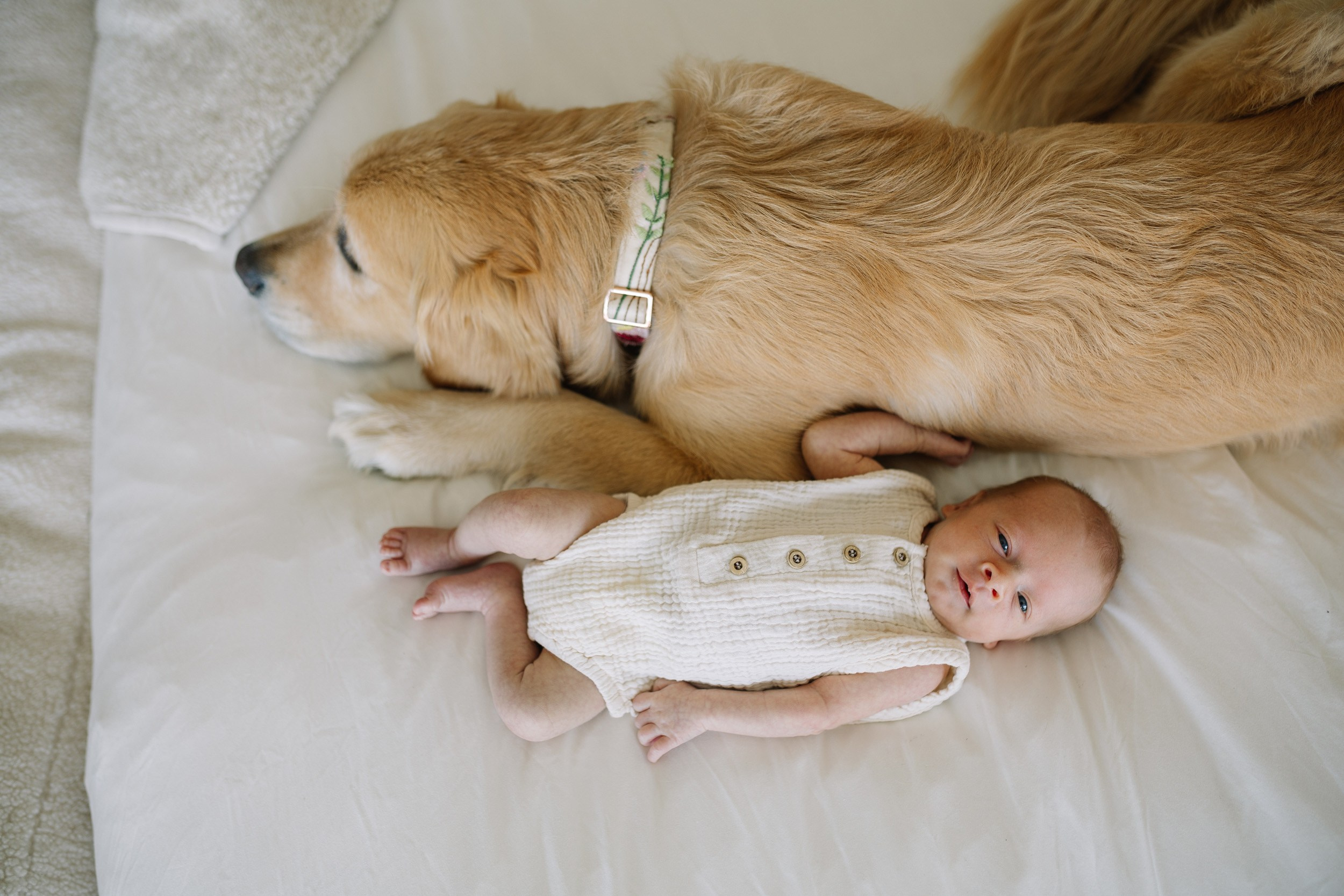 Benji’s First Days | Bay Area Newborn & Family Photography. Maternity, newborn photographer in the Bay Area|Iryna Rakivnenko