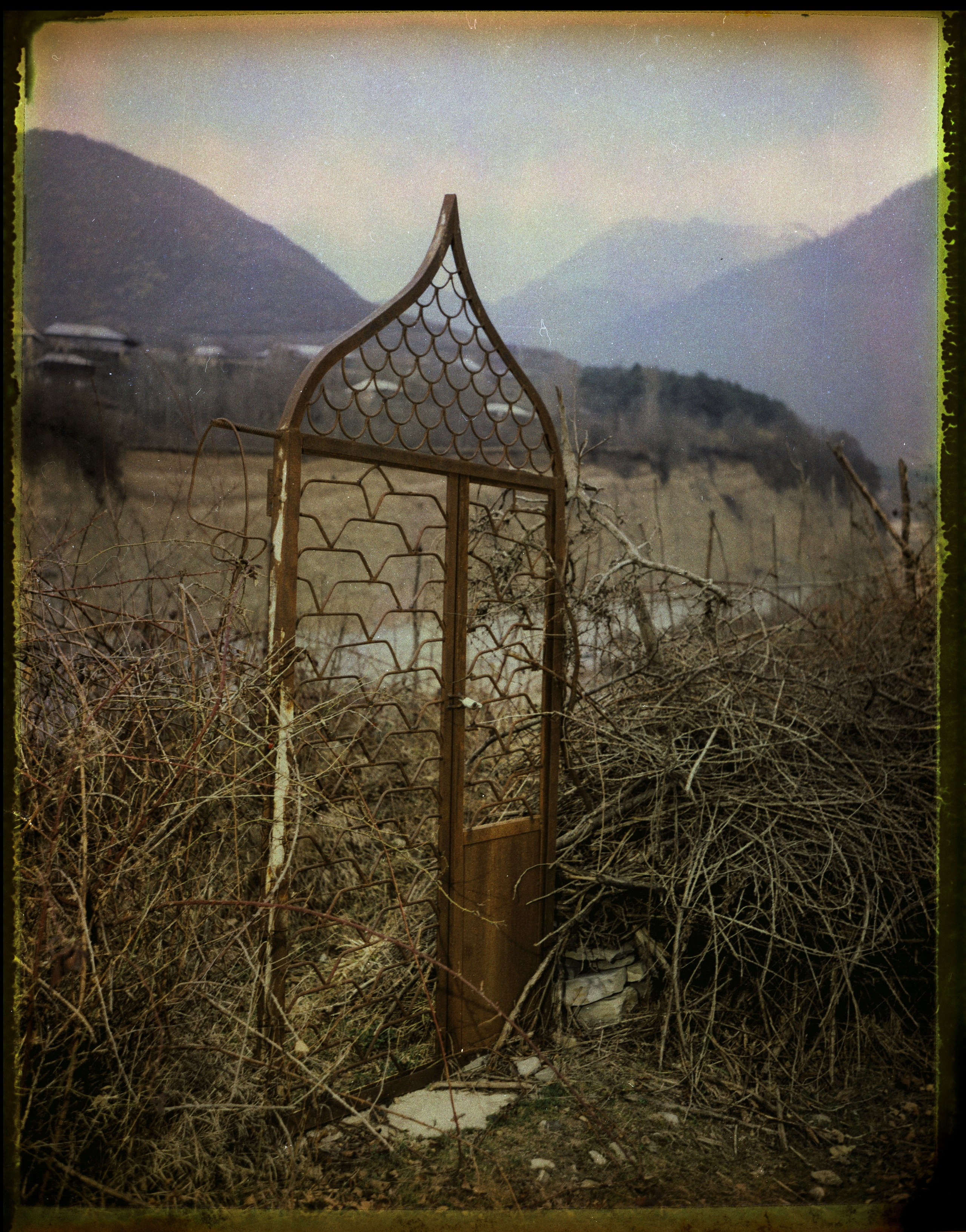 POLAROID. Www.sananaleskerov.com