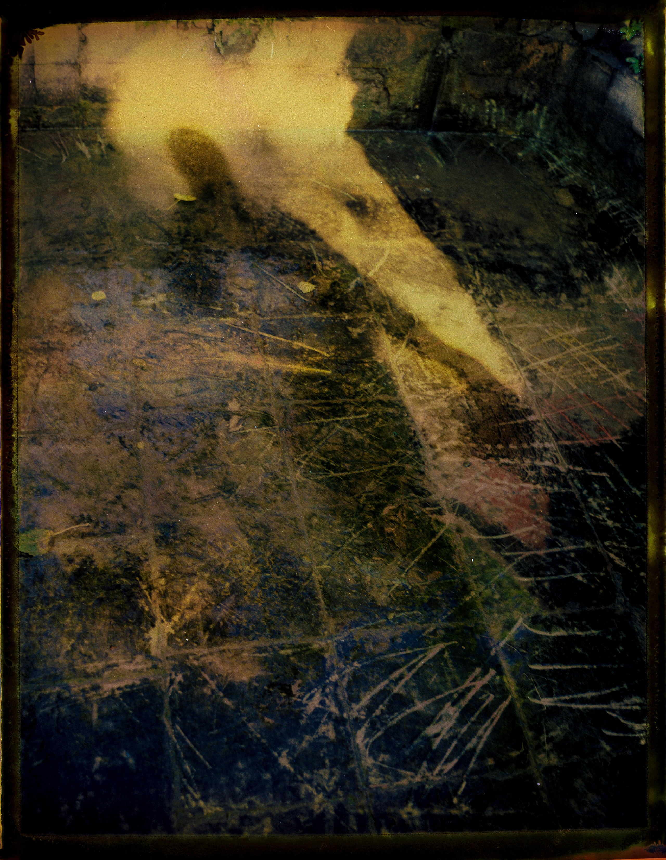 POLAROID. Www.sananaleskerov.com