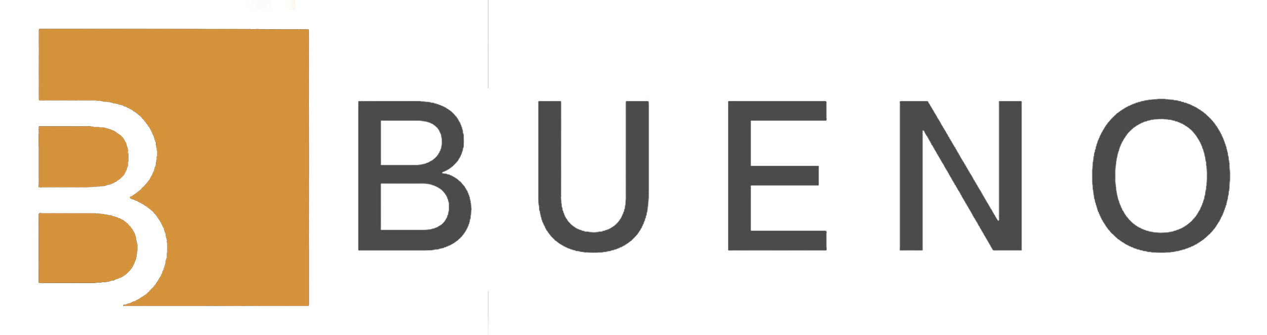 Estúdio Gustavo Bueno