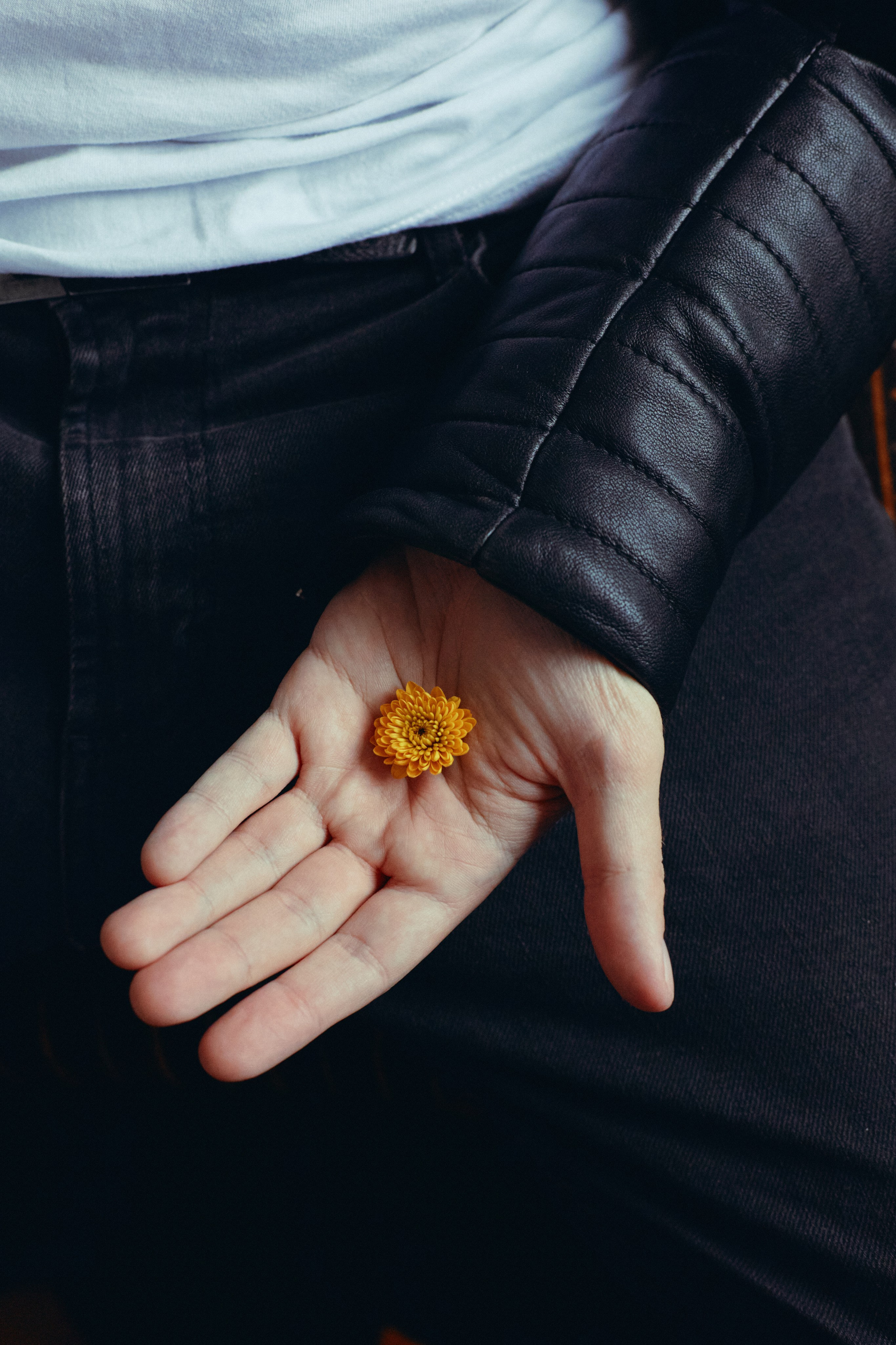 Sergey. Анастасия Еремина | Фотограф в Сербии | Персональные и бизнес-фотосессии в Белграде и Нови Саде