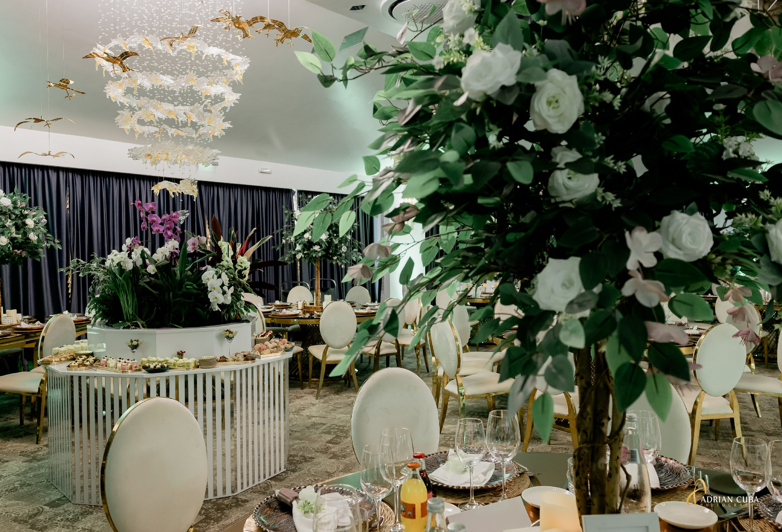 Fotograf nunta Iasi | Adrian Cuba — servicii profesionale de fotografie de nunta