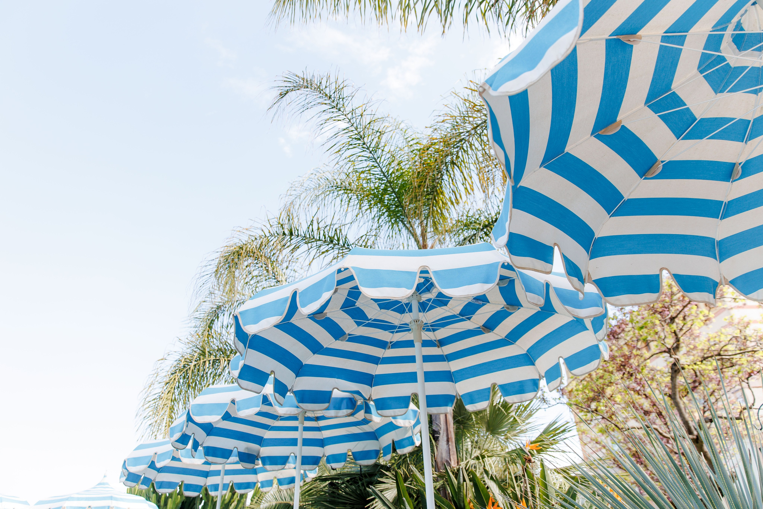 Sun umbrellas next to the pool at Gran Villa Rosa