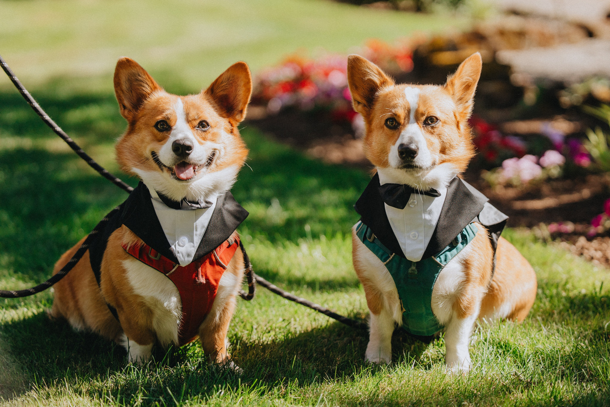 Brook & Richard's Wedding in Portland Oregon| Captured by Georgy Shishkin, Professional Wedding Photographer Seattle, Bend & Oregon Coast. Capturing Love in the Heart of the Pacific Northwes