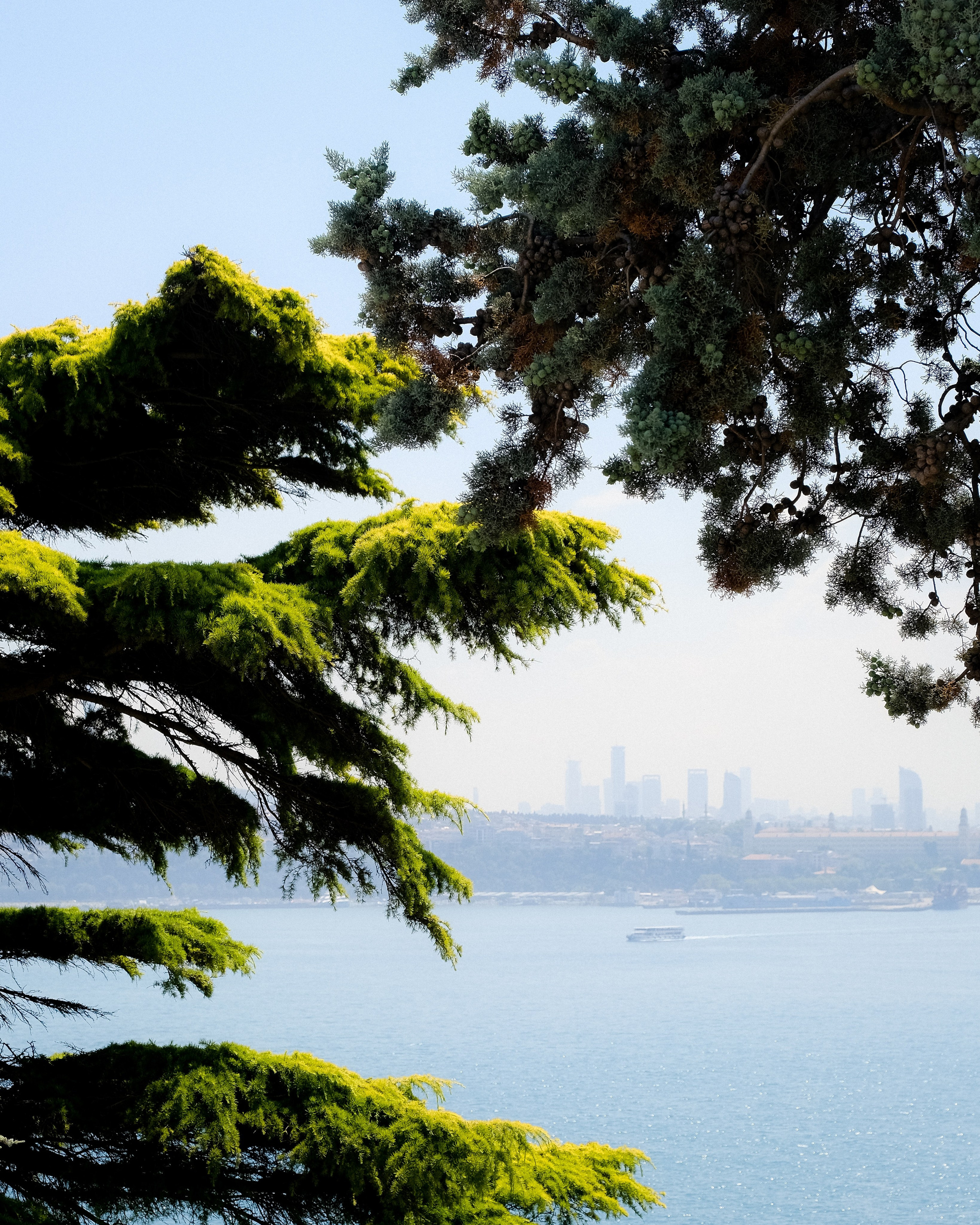 Стамбул и Сокровища Северного Кипра. Lavi de Rêve (travel)