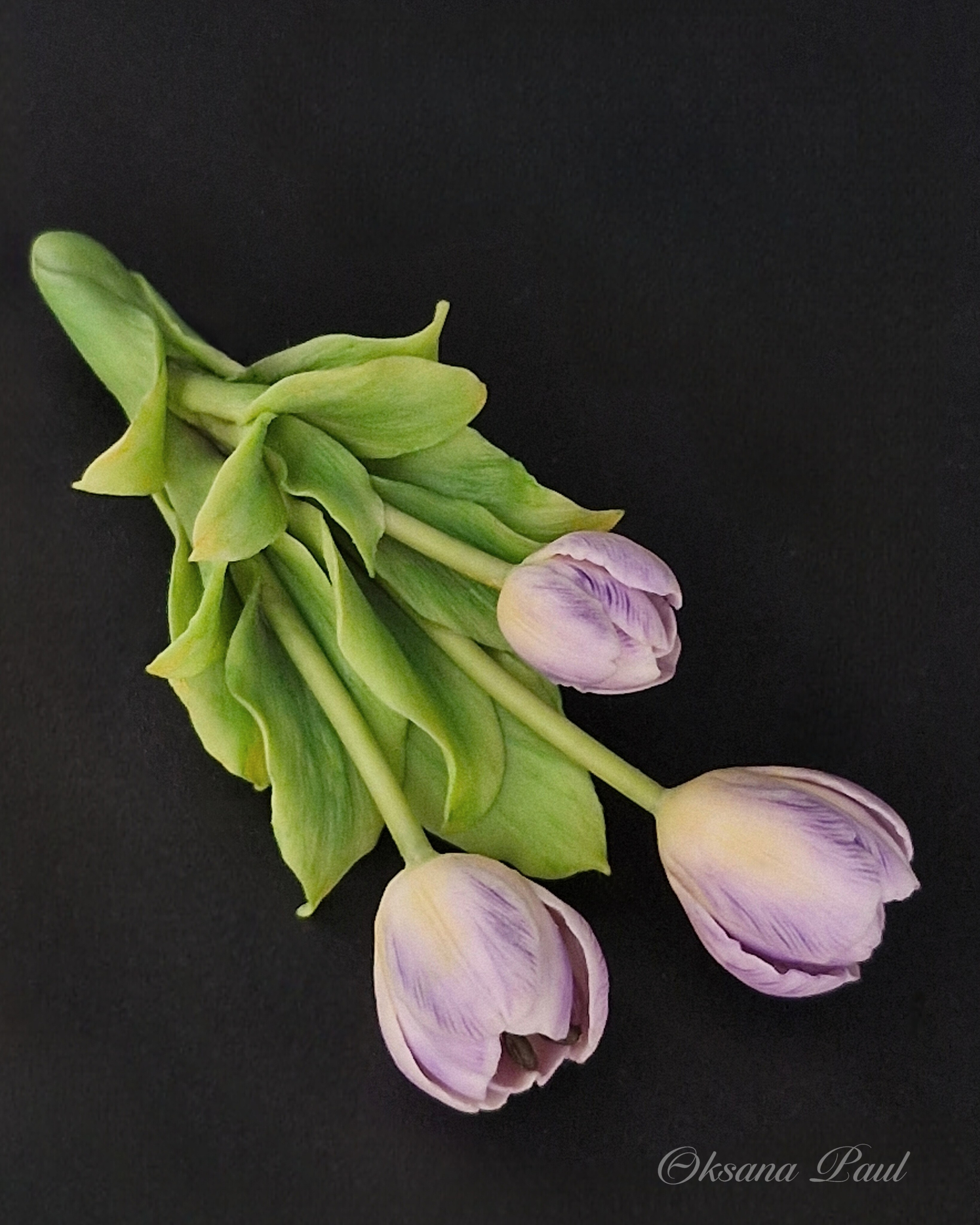 Броши с цветами / Blumen-Broschen ➜. Oksana Paul-Gardinen-Design Oksana Paul ✧ Art of Gardinen & Textile Design ✧ Polymer Clay Art & Handmade Creatures