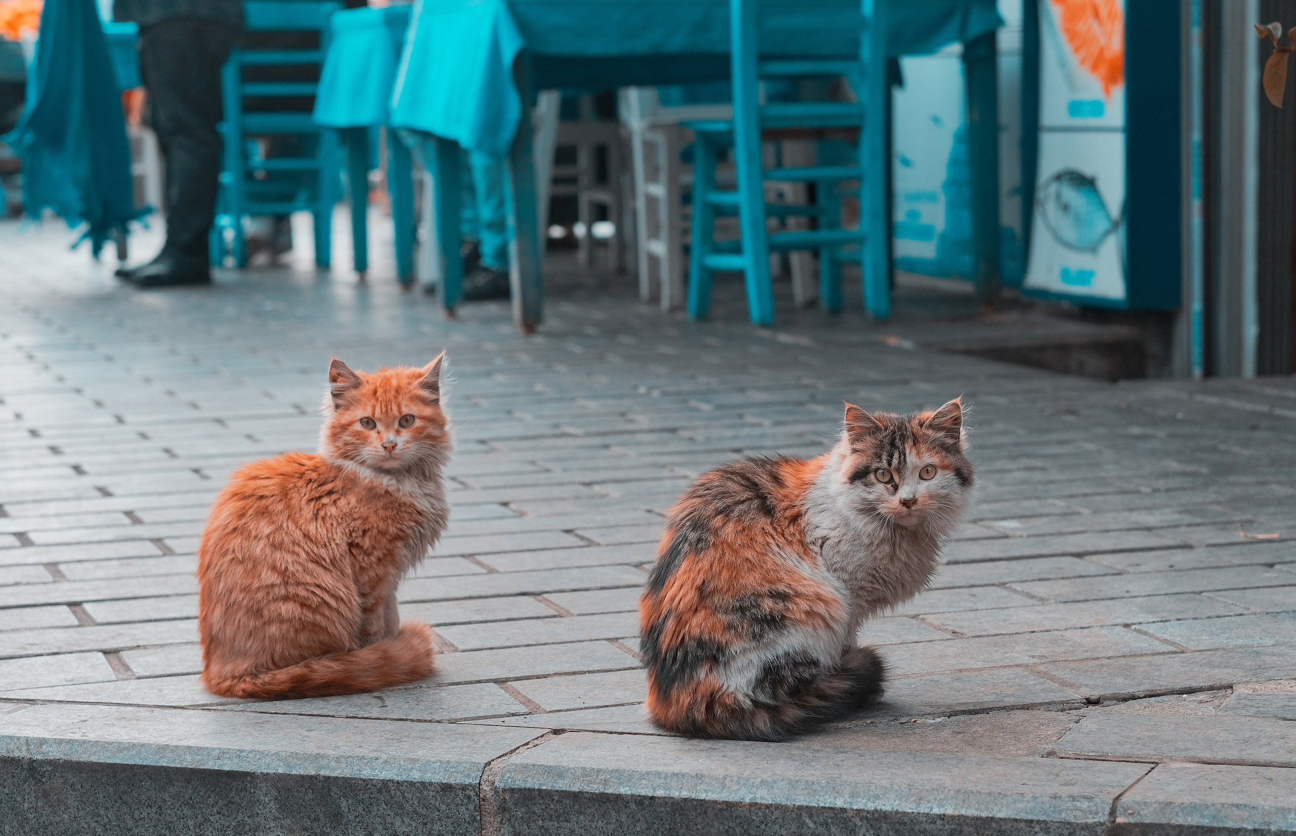 Istanbul | The Life of the Others 📸 | Street Photography Turkey 🇹🇷. 中国街头摄影 | The Streets of China Through My Eyes | 深圳