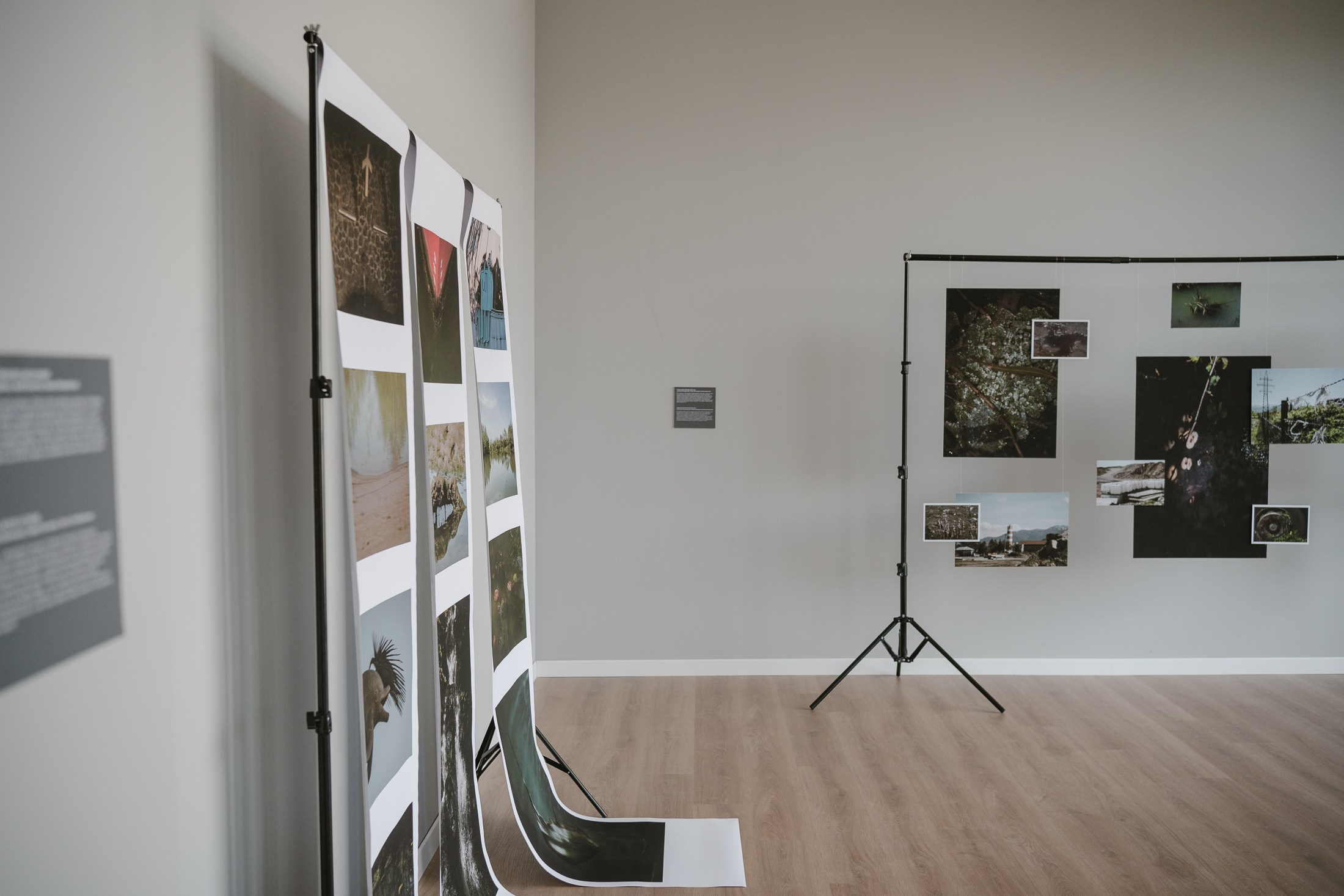 Let the City Become a Garden: Ecology Through the Lens. Stanislava Novgorodtseva — Photographer | Visual Artist | Educator