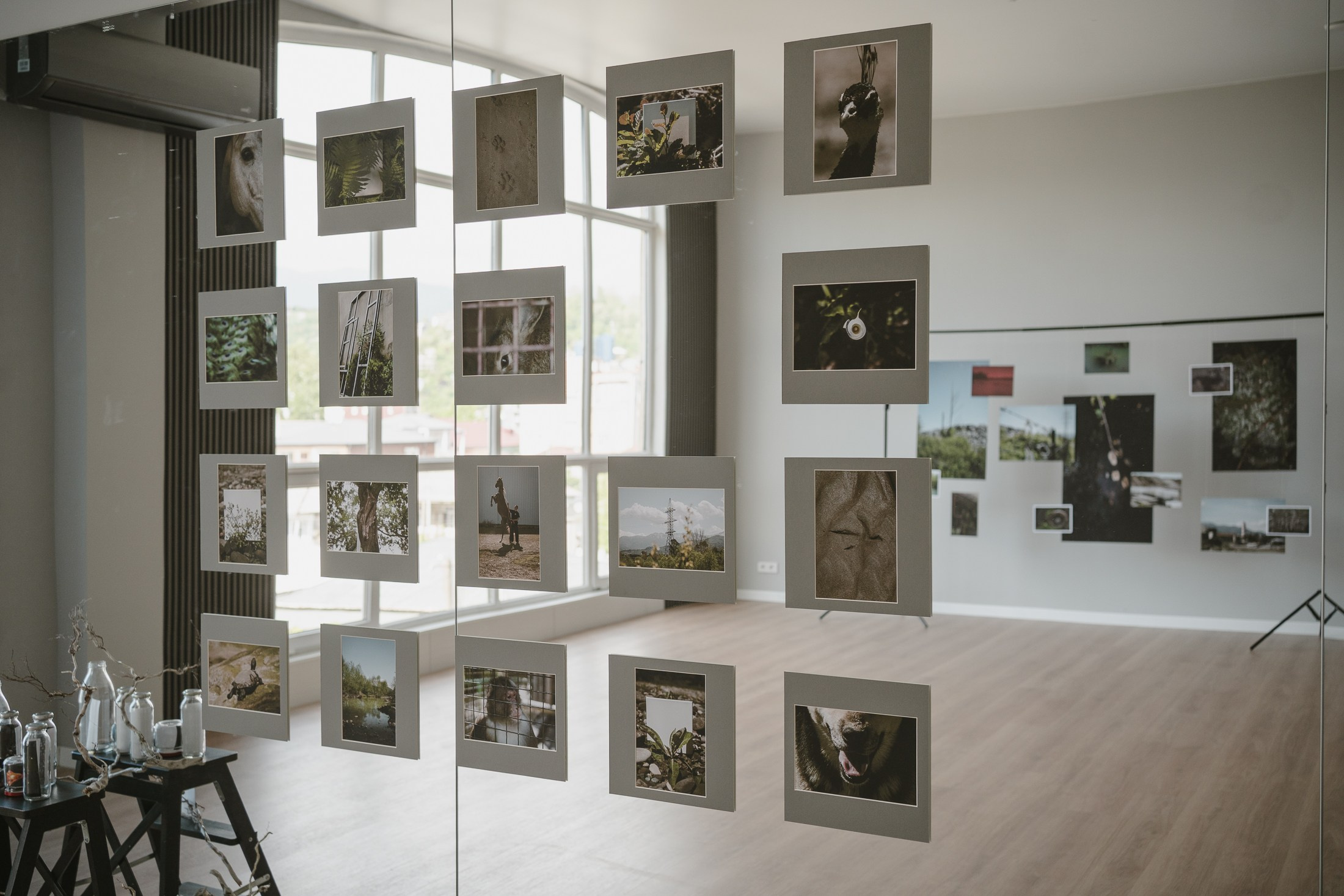 Let the City Become a Garden: Ecology Through the Lens. Stanislava Novgorodtseva — Photographer | Visual Artist | Educator
