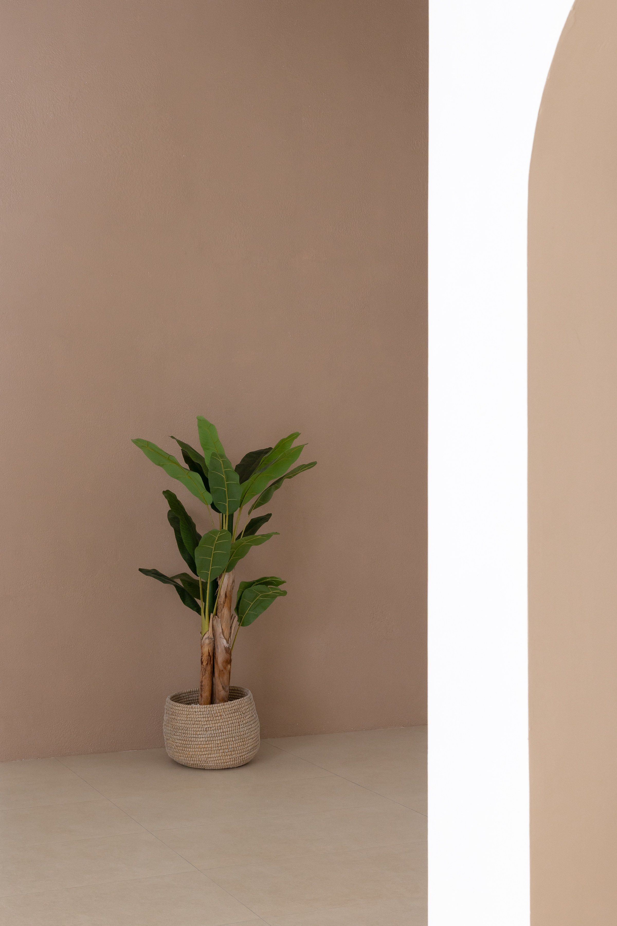 Rental. Dune Zone. Photo and video production in Dubai UAE