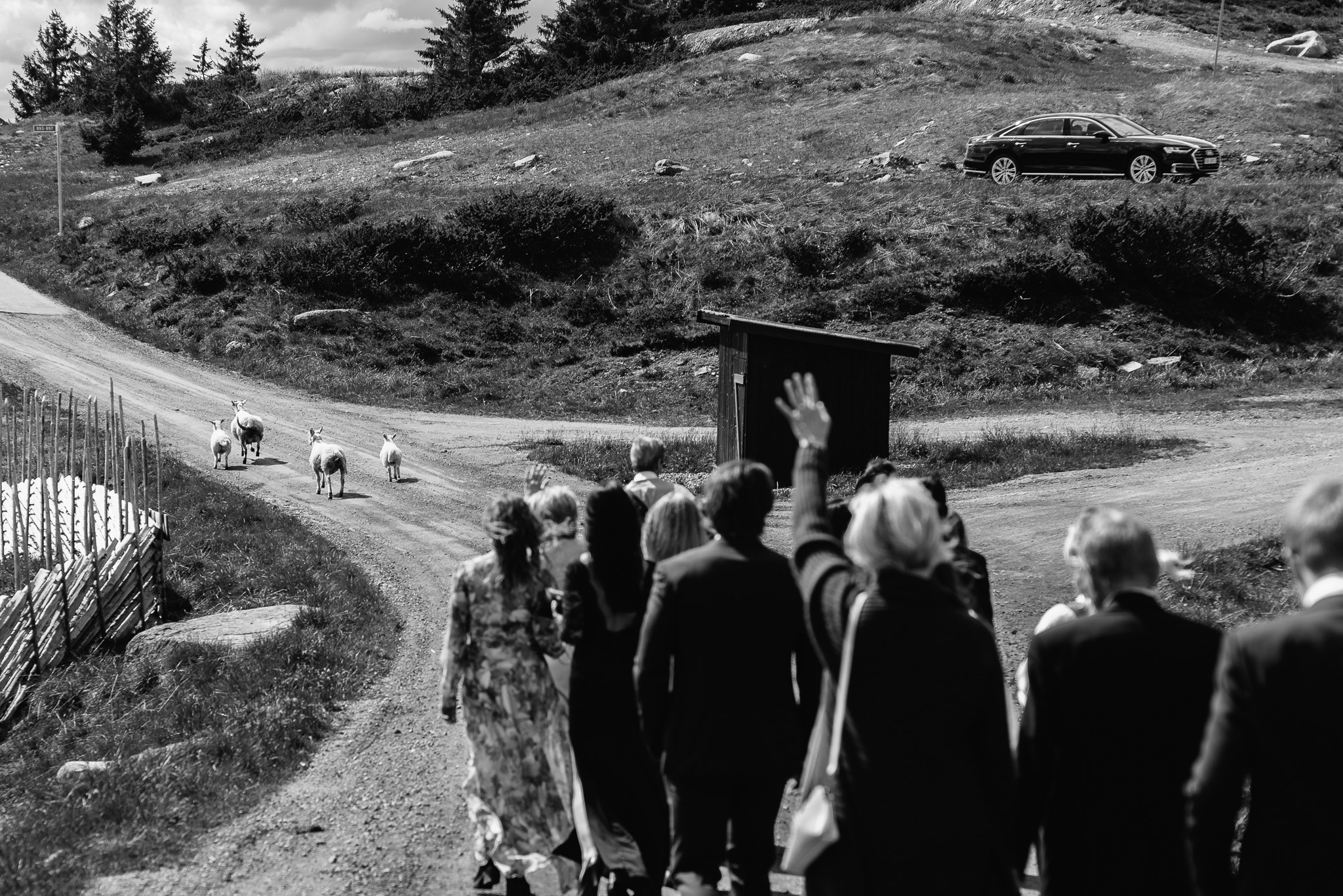 Morten & Anette. Свадебный фотограф в Риге — Вячеслав Лучненков