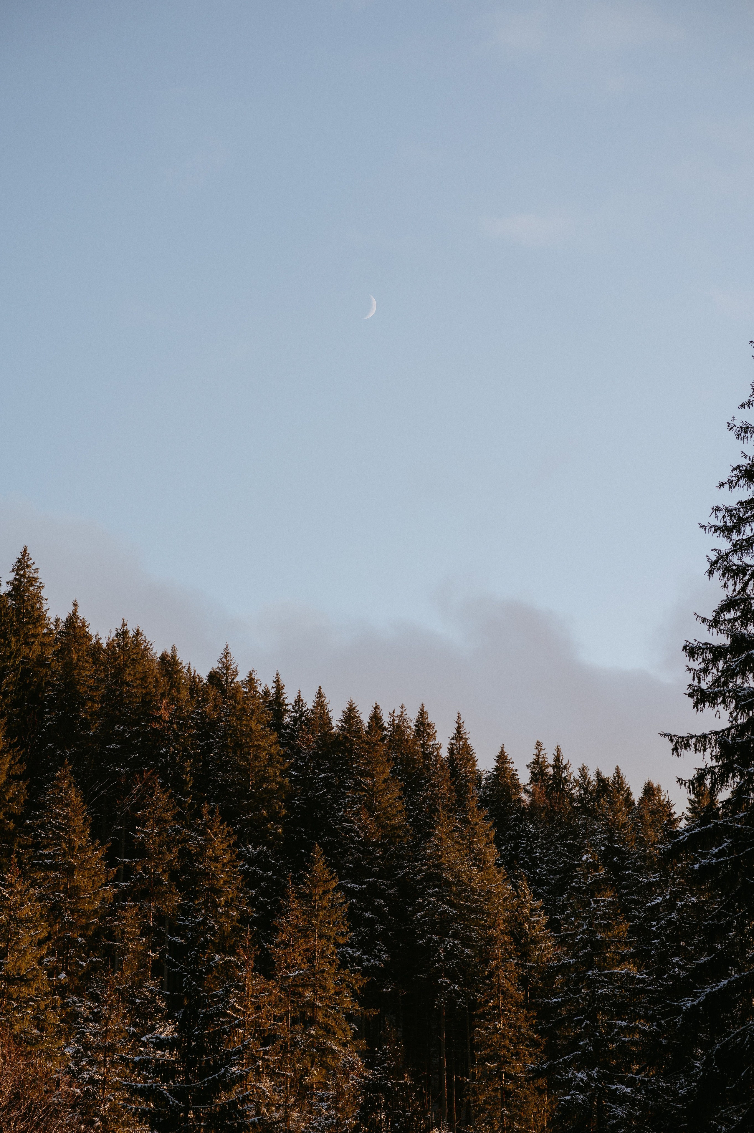 Ședință Foto de Familie la Munte – Fotografii de Iarnă în Lupcina. Valentin Melen - fotograf de nunta 🤍