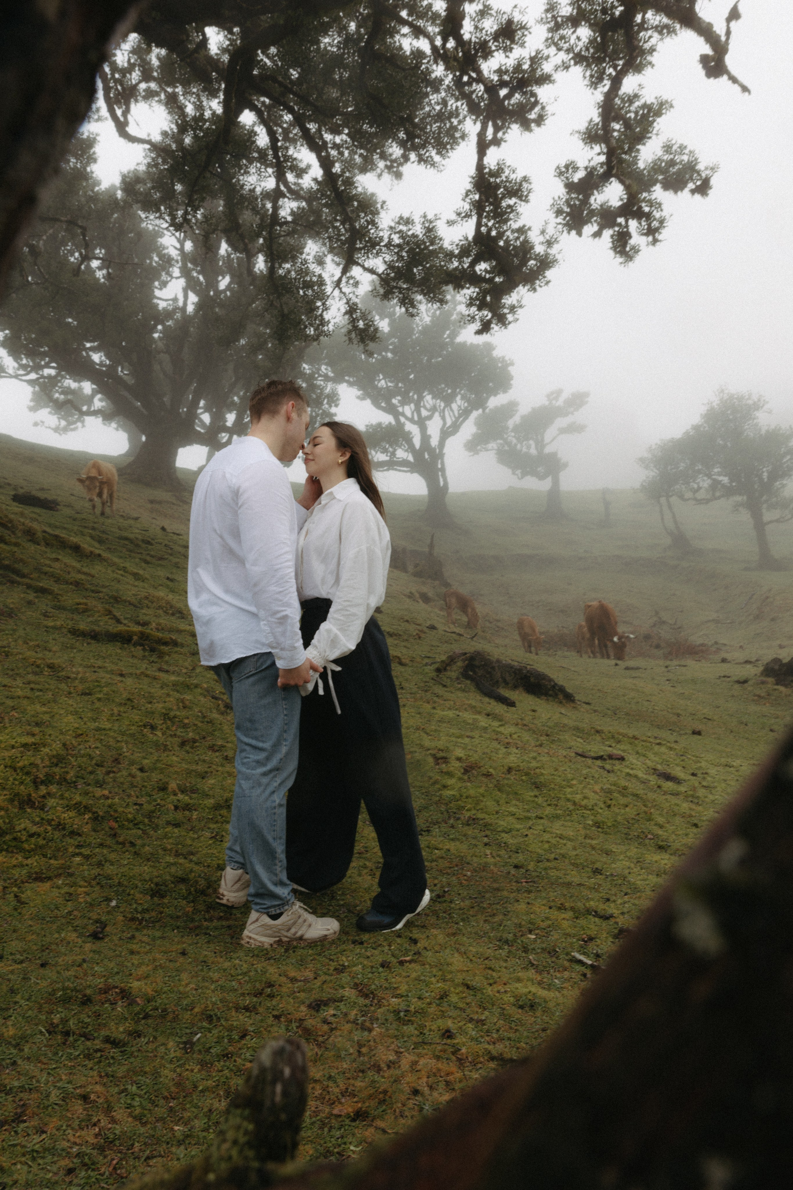 Magic of Fanal Forest. Wedding photographer and videographer based in Timisoara, Romania