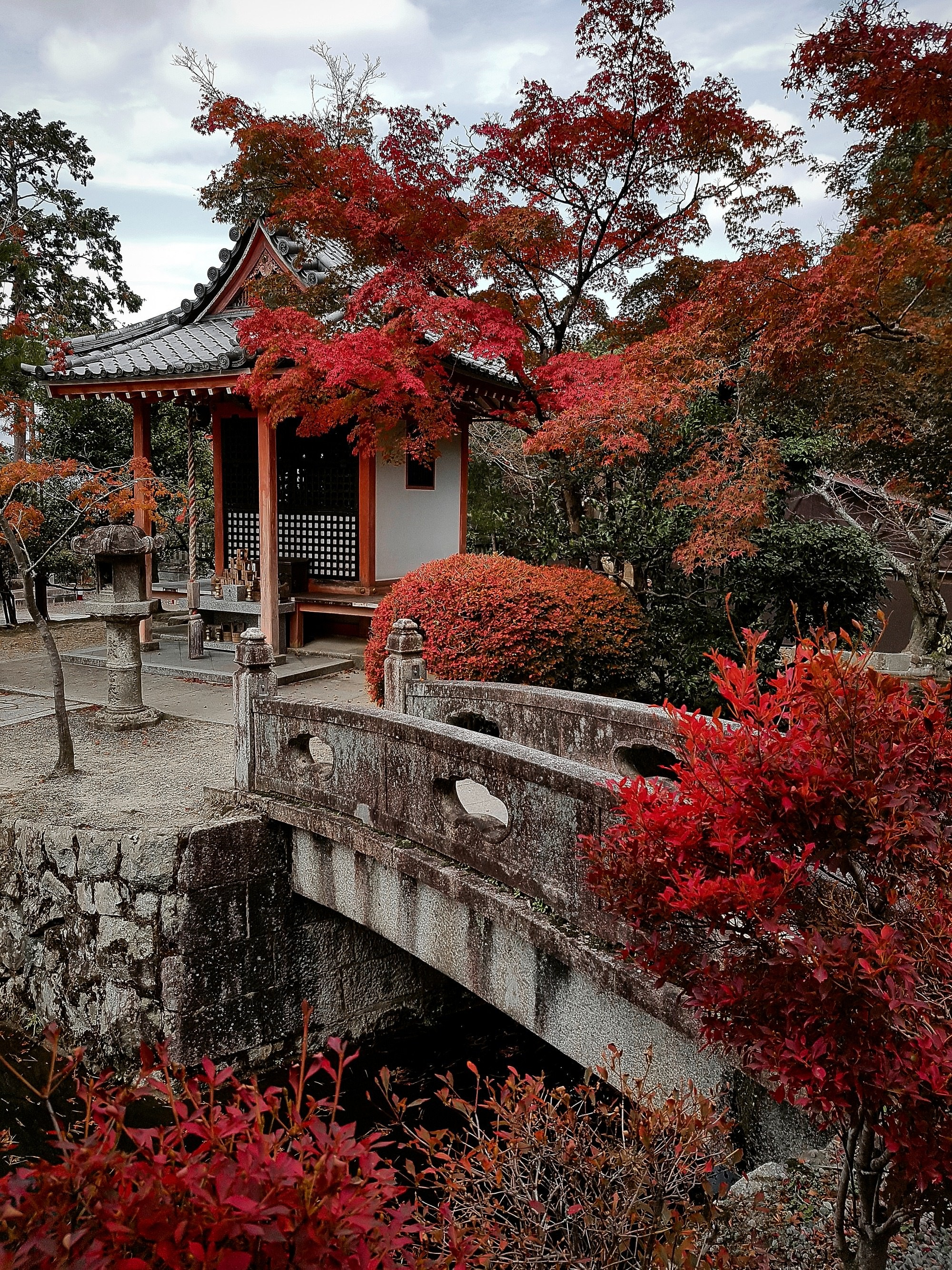 Kyoto and Nara, Japan — A Photographer’s Travel Guide