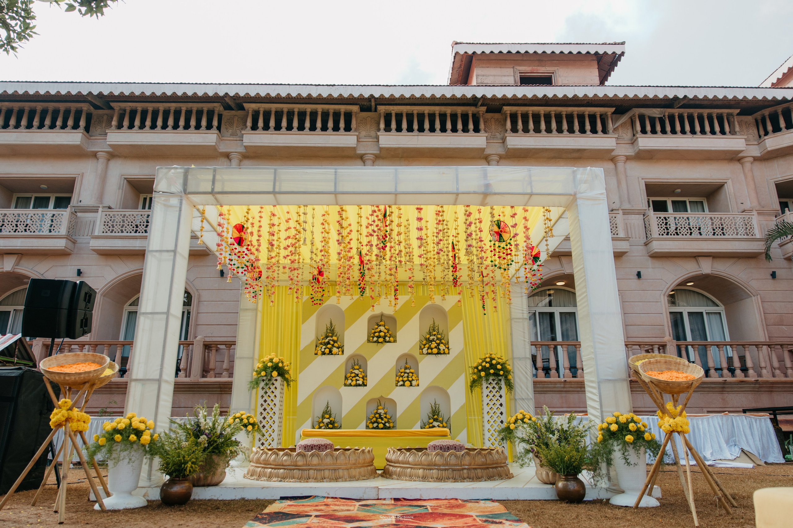 #THEPURALOVESTORY is a journey of two hearts growing in sync, across seasons, challenges, and memories