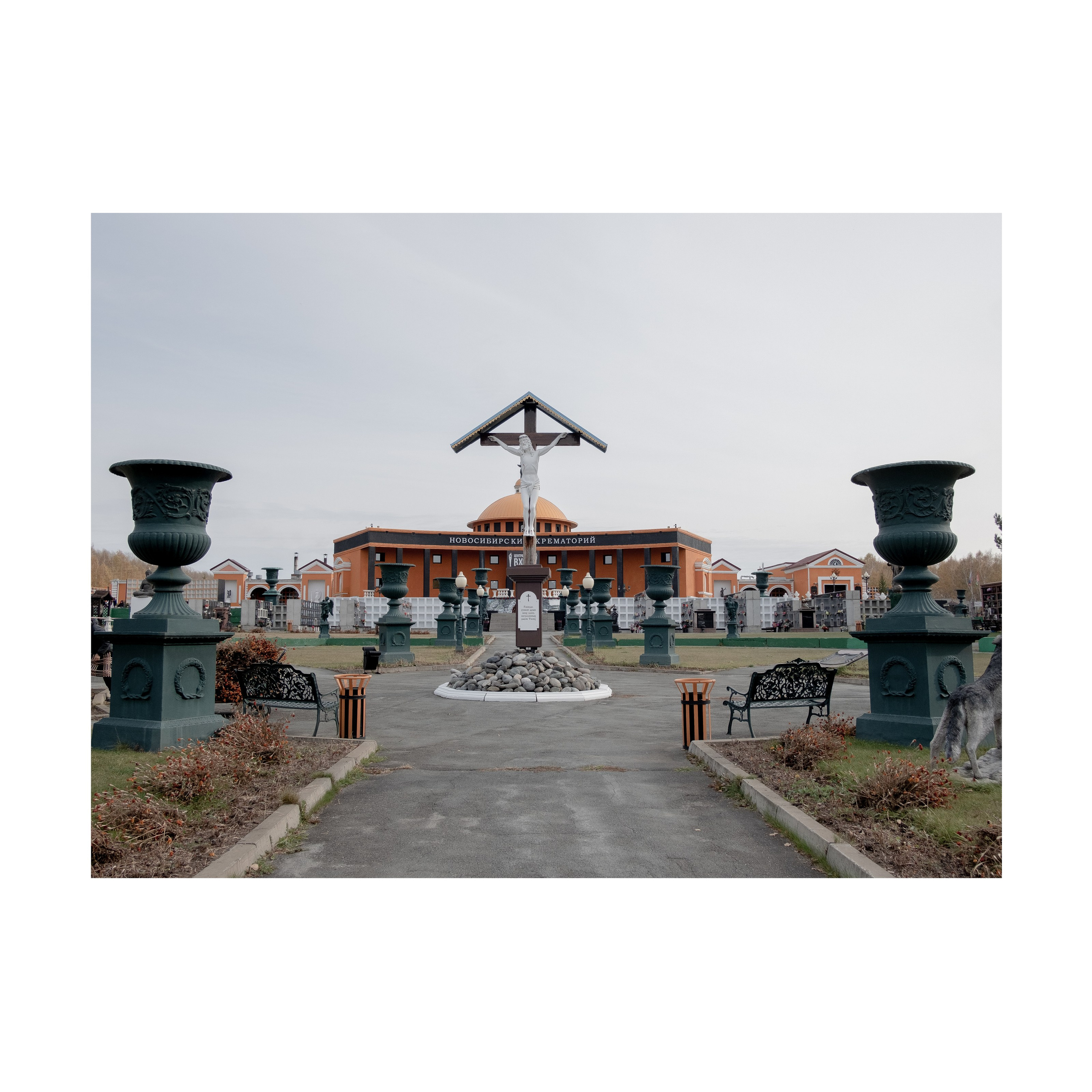 Phoenix. Nelly Elagina