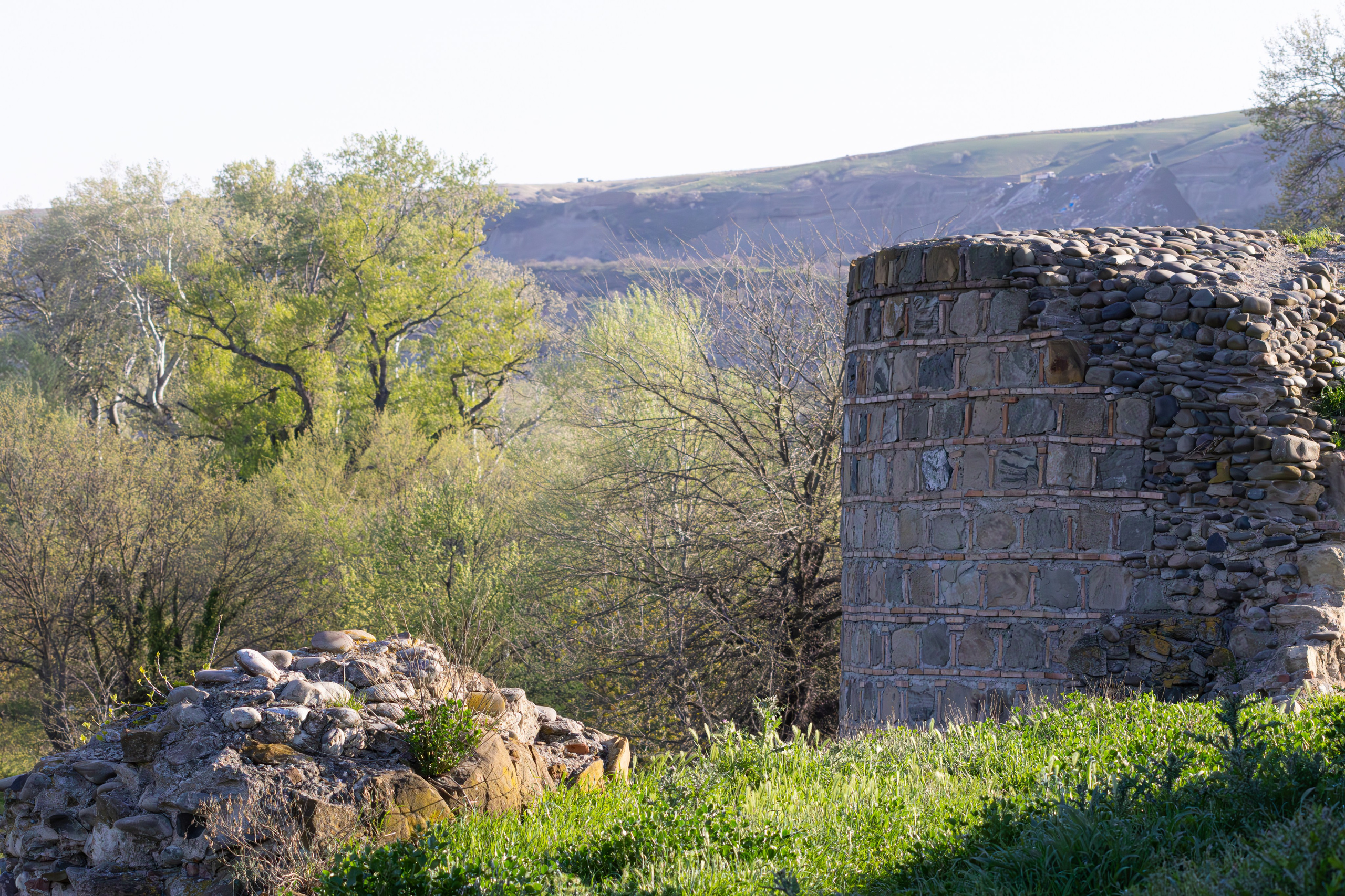 გასეირნება რუსთავის პარკში. FramefreeMan