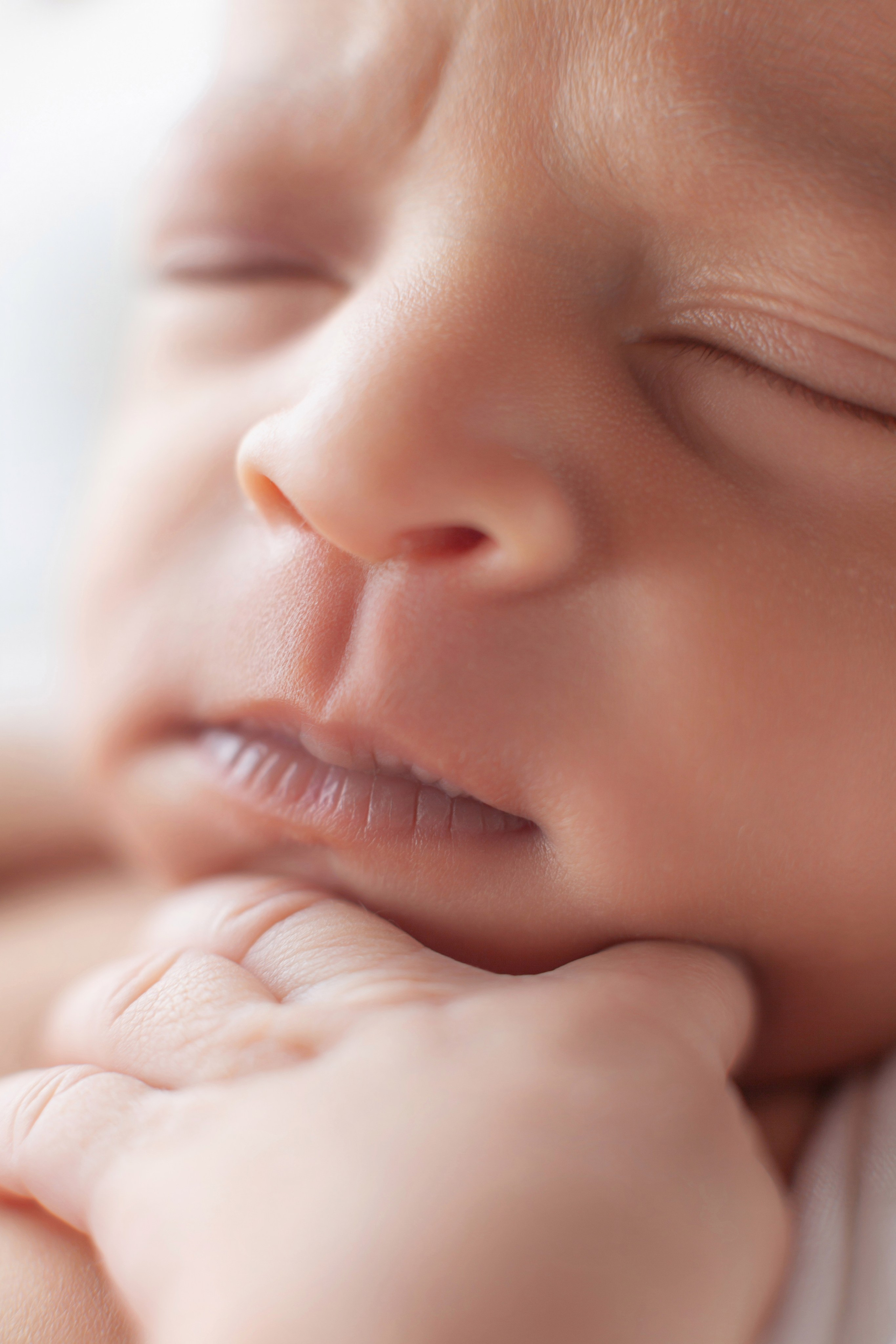 Services. Marina Pravda Photography San Francisco Bay Area