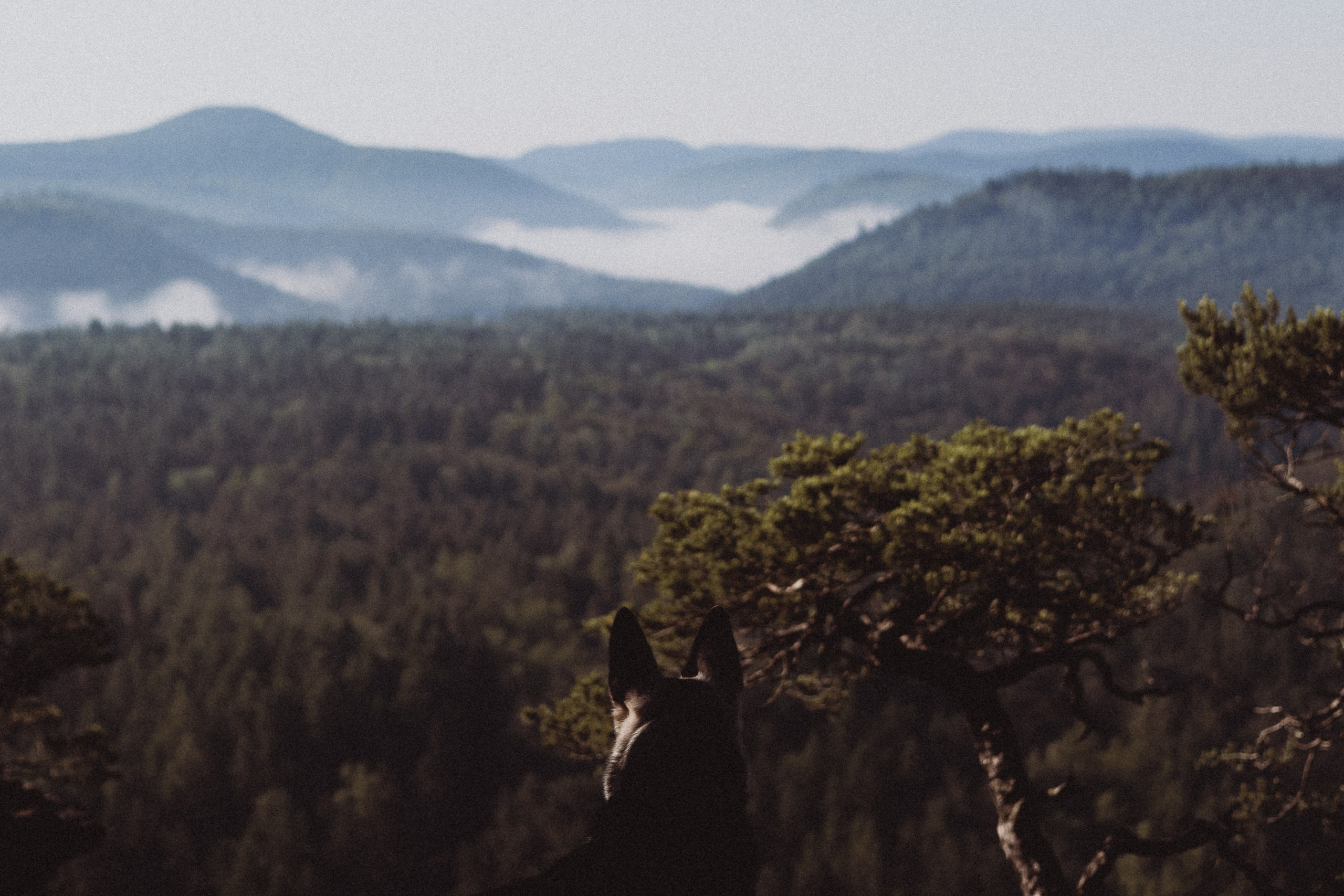 Über mich. Deine Fotografin aus Baden-Württemberg und der Südpfalz