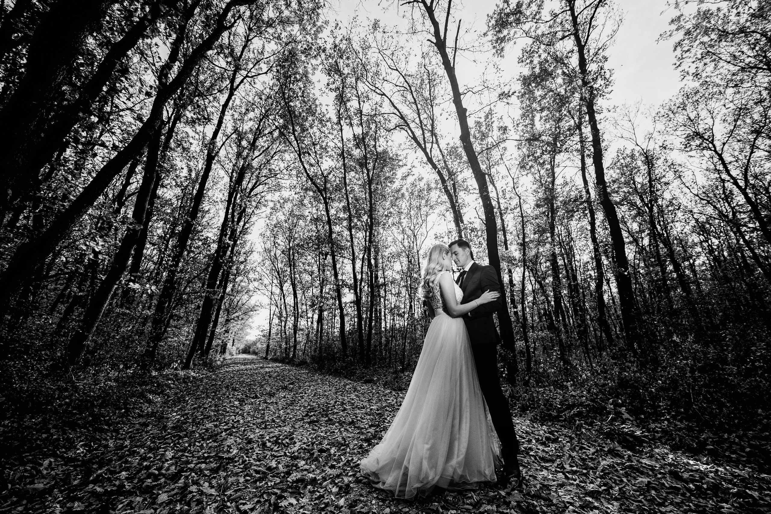 Adriana & Andrei. Acasă