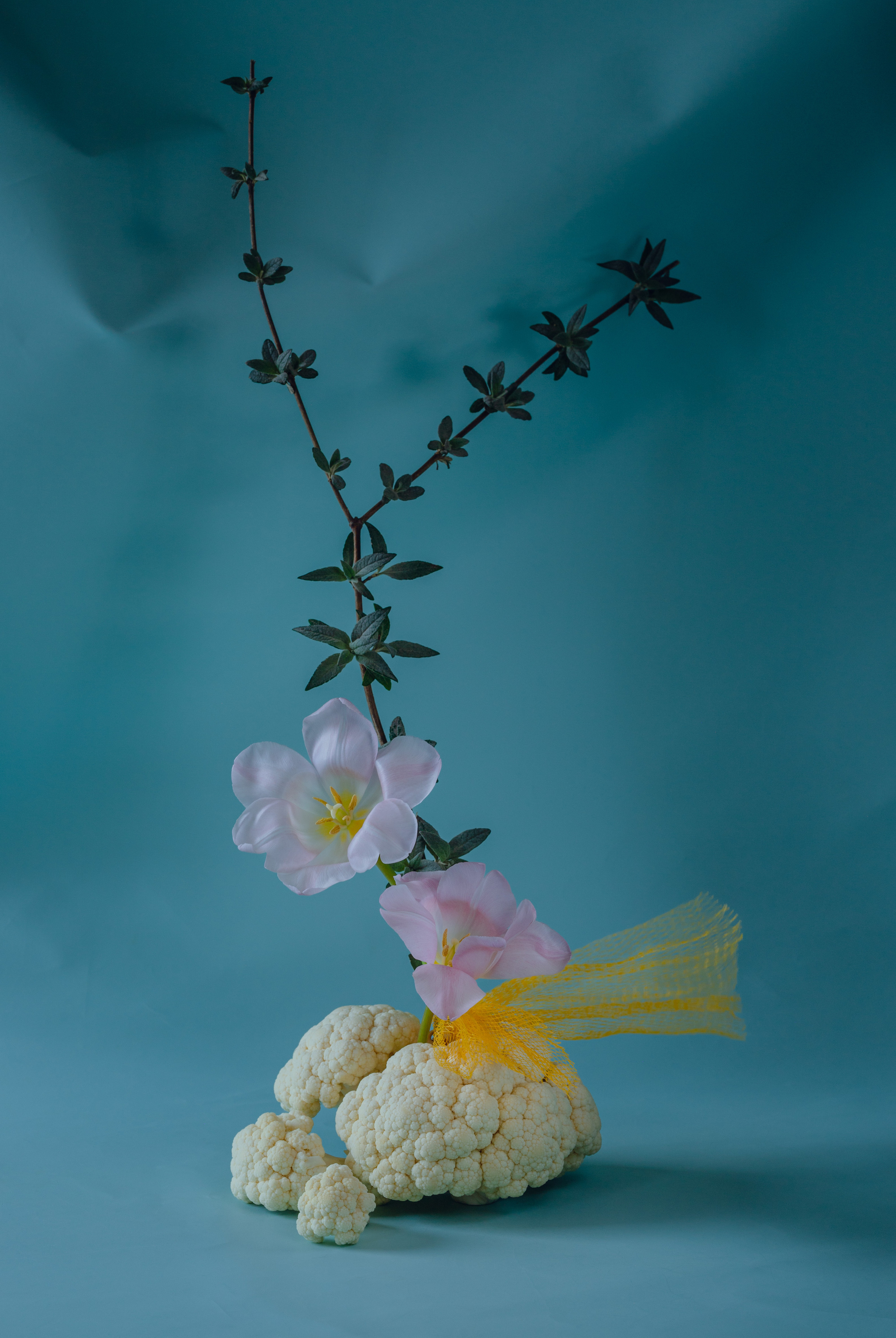 still life contemporary composition Tsaregorodtseva fine art