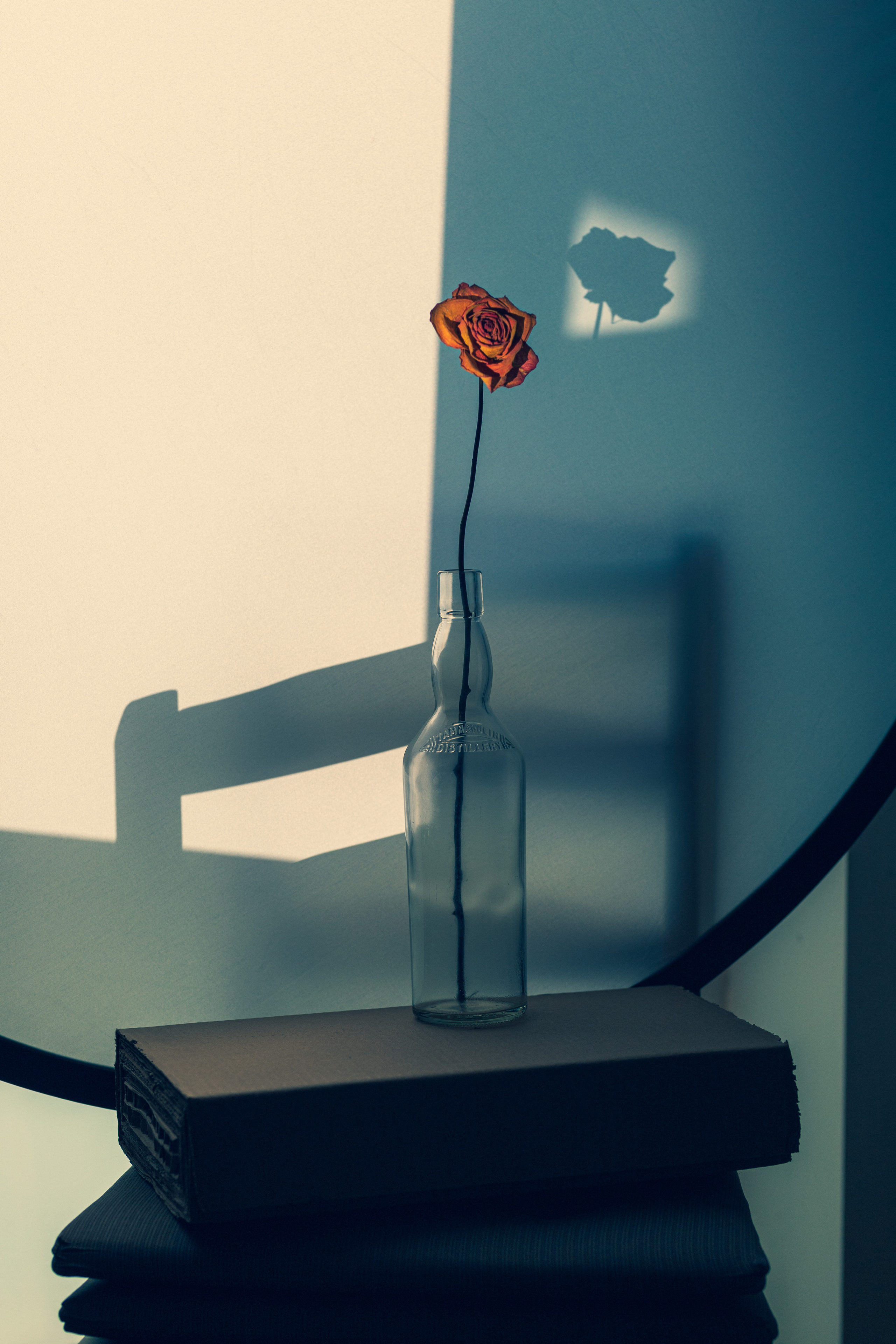 still life contemporary composition Tsaregorodtseva