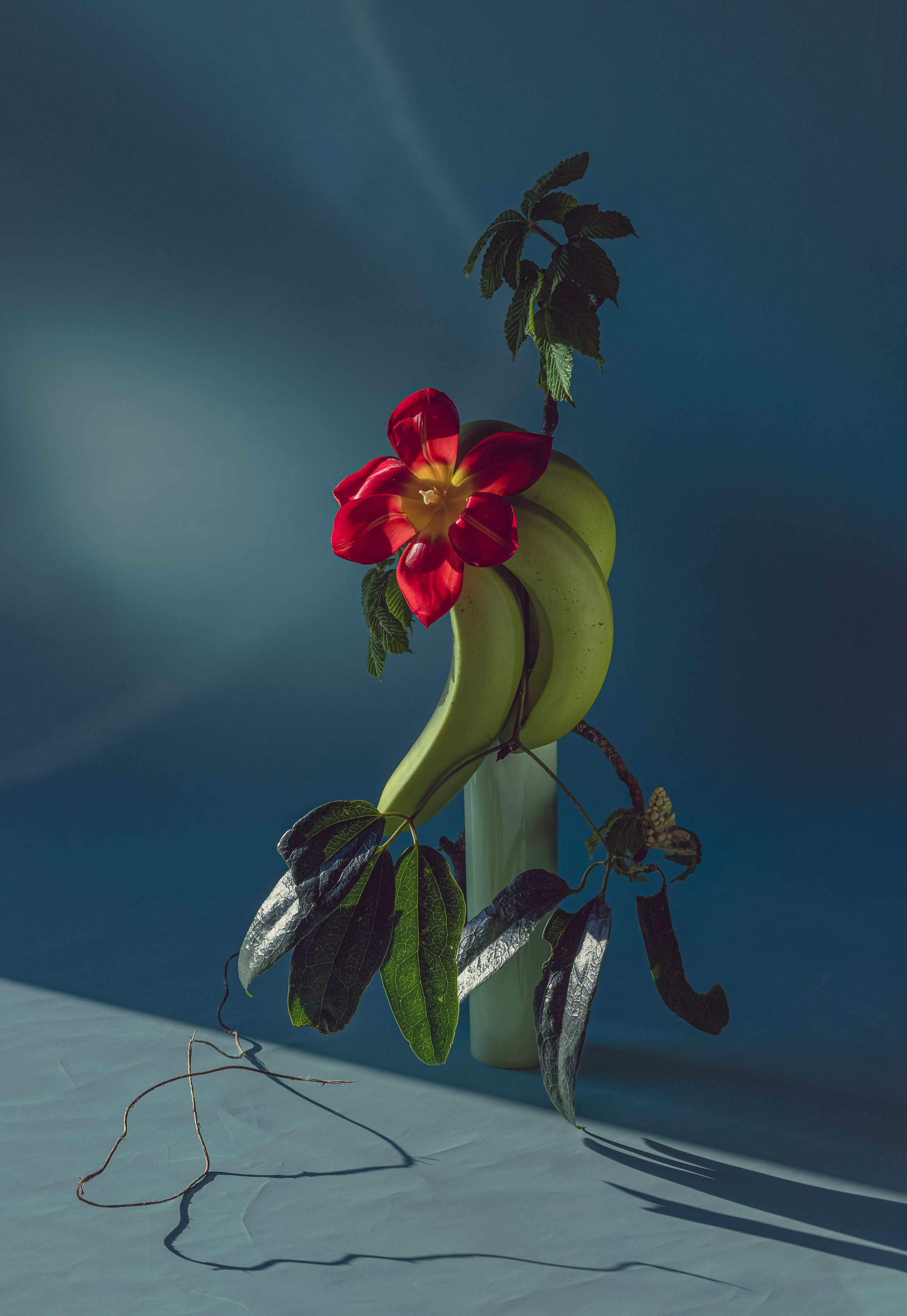 still life contemporary composition Tsaregorodtseva fine art