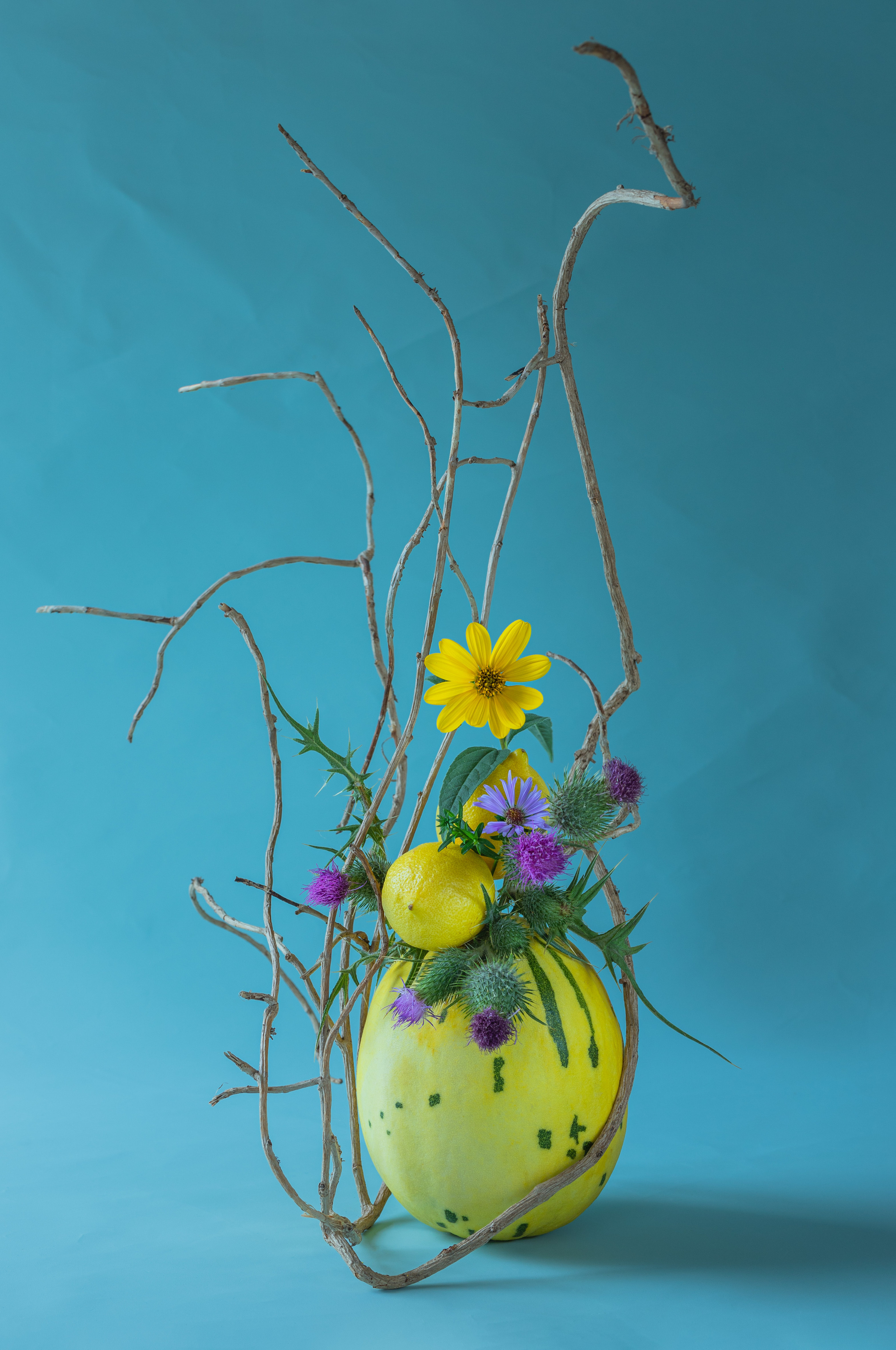 still life contemporary composition Tsaregorodtseva