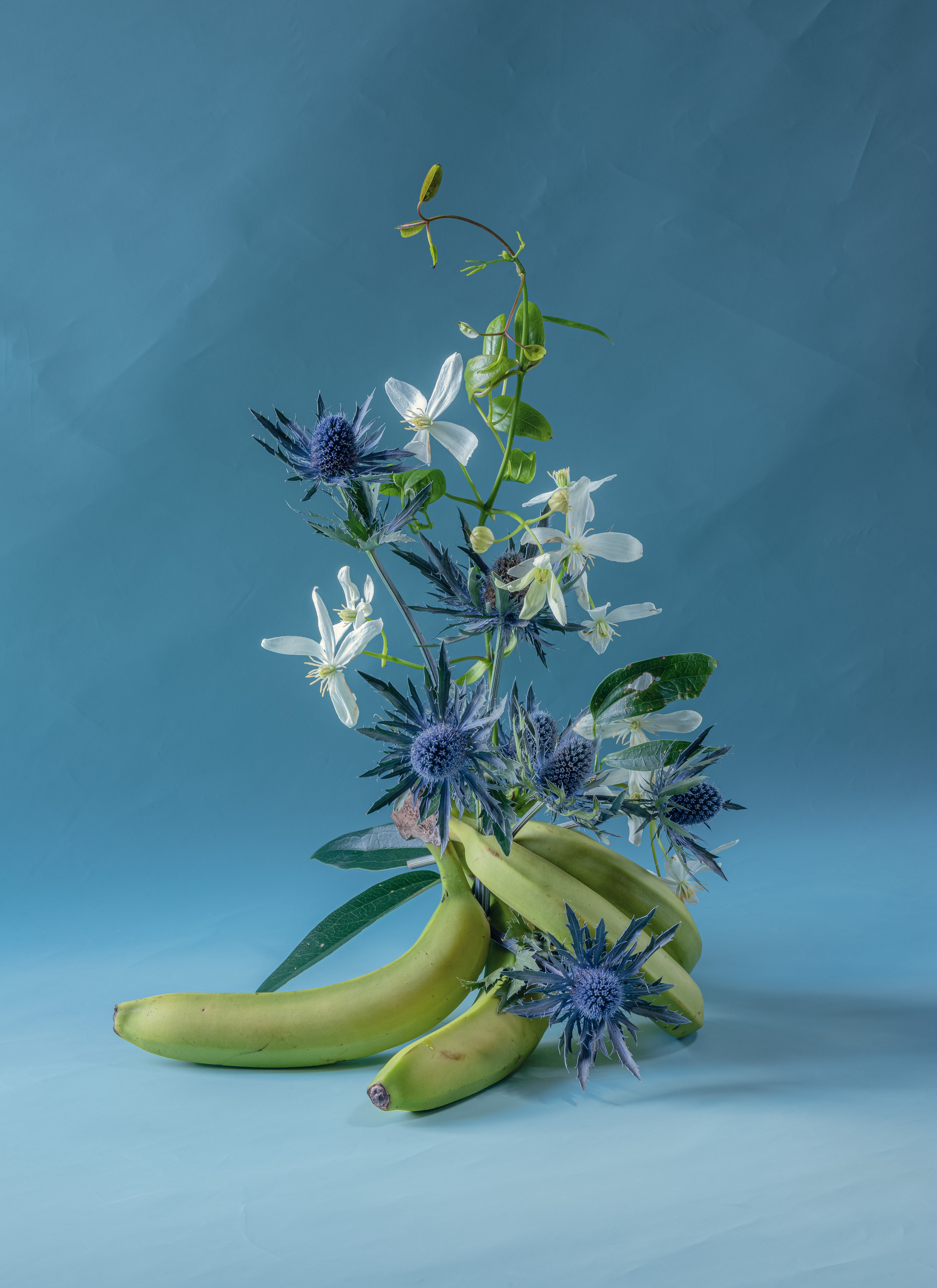 still life contemporary composition Tsaregorodtseva