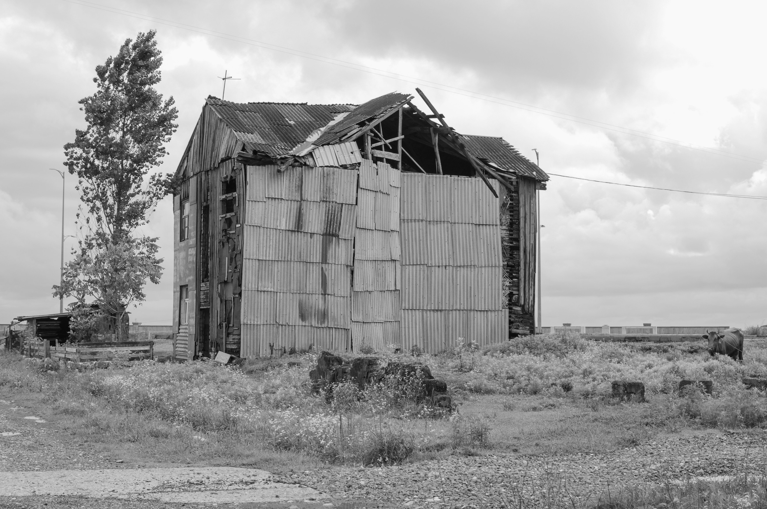 Under the Phasis' Sun. Mayya Kelova artist