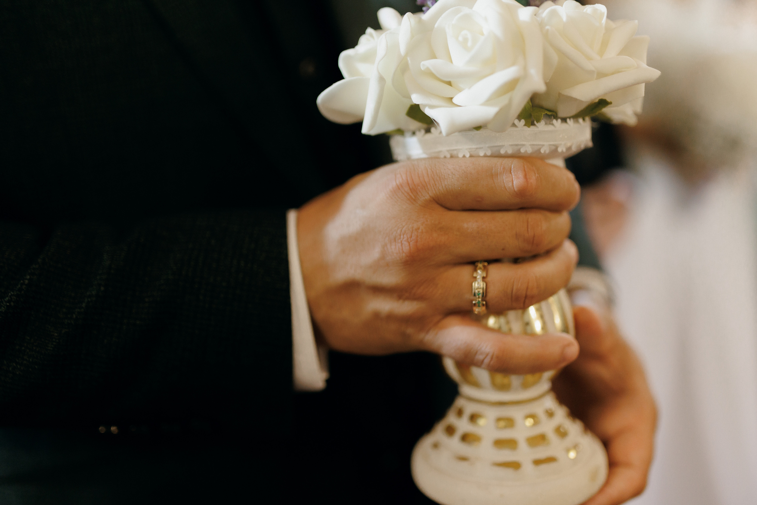 Villa Trevi Wedding near Timisoara. Wedding photographer and videographer based in Timisoara, Romania